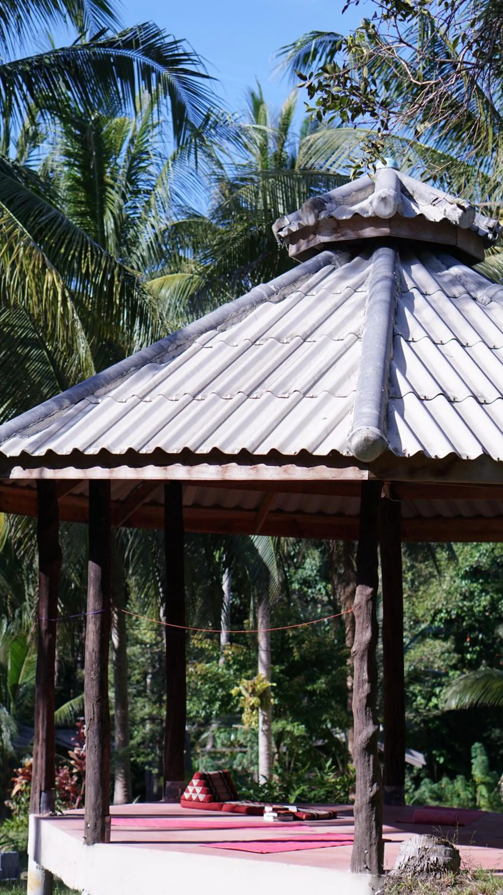 Garden in Eve house koh kood