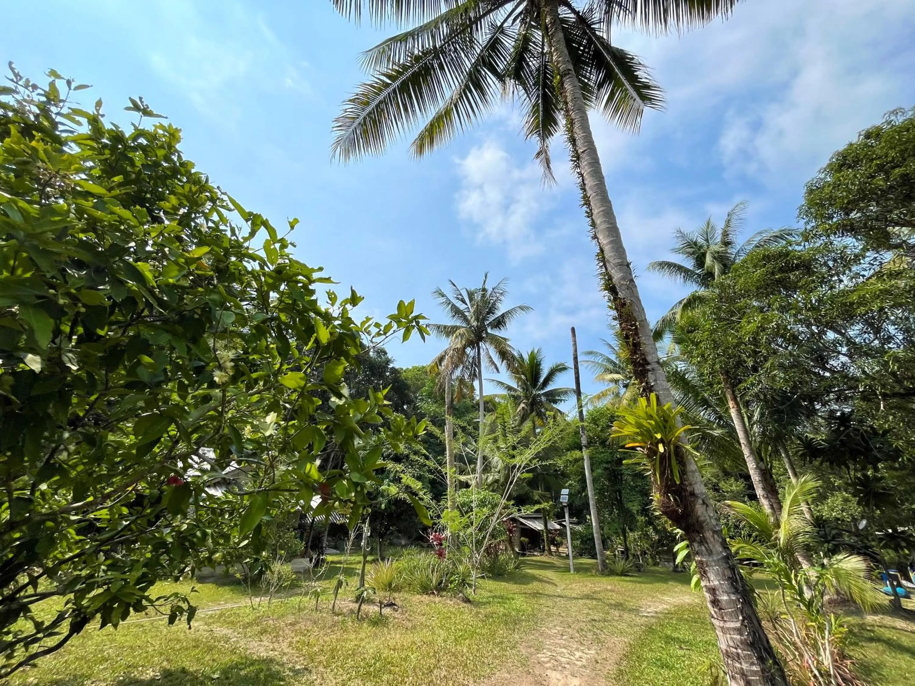 Garden view in Eve house koh kood