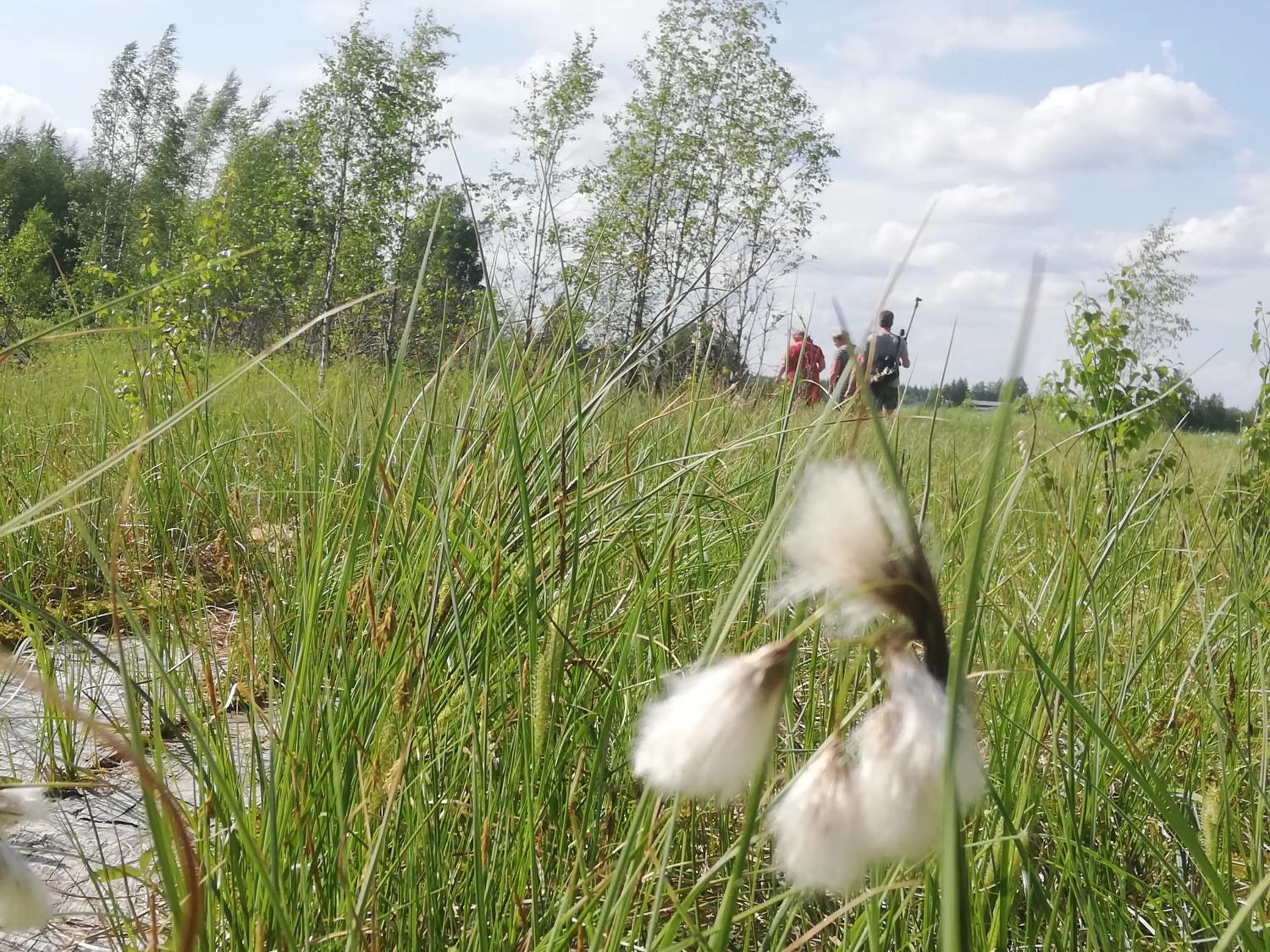 Karkausmäen Kammari