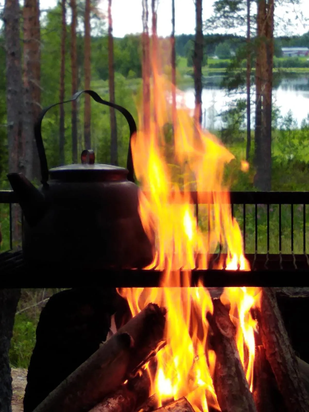 BBQ facilities in Karkausmäen Kammari