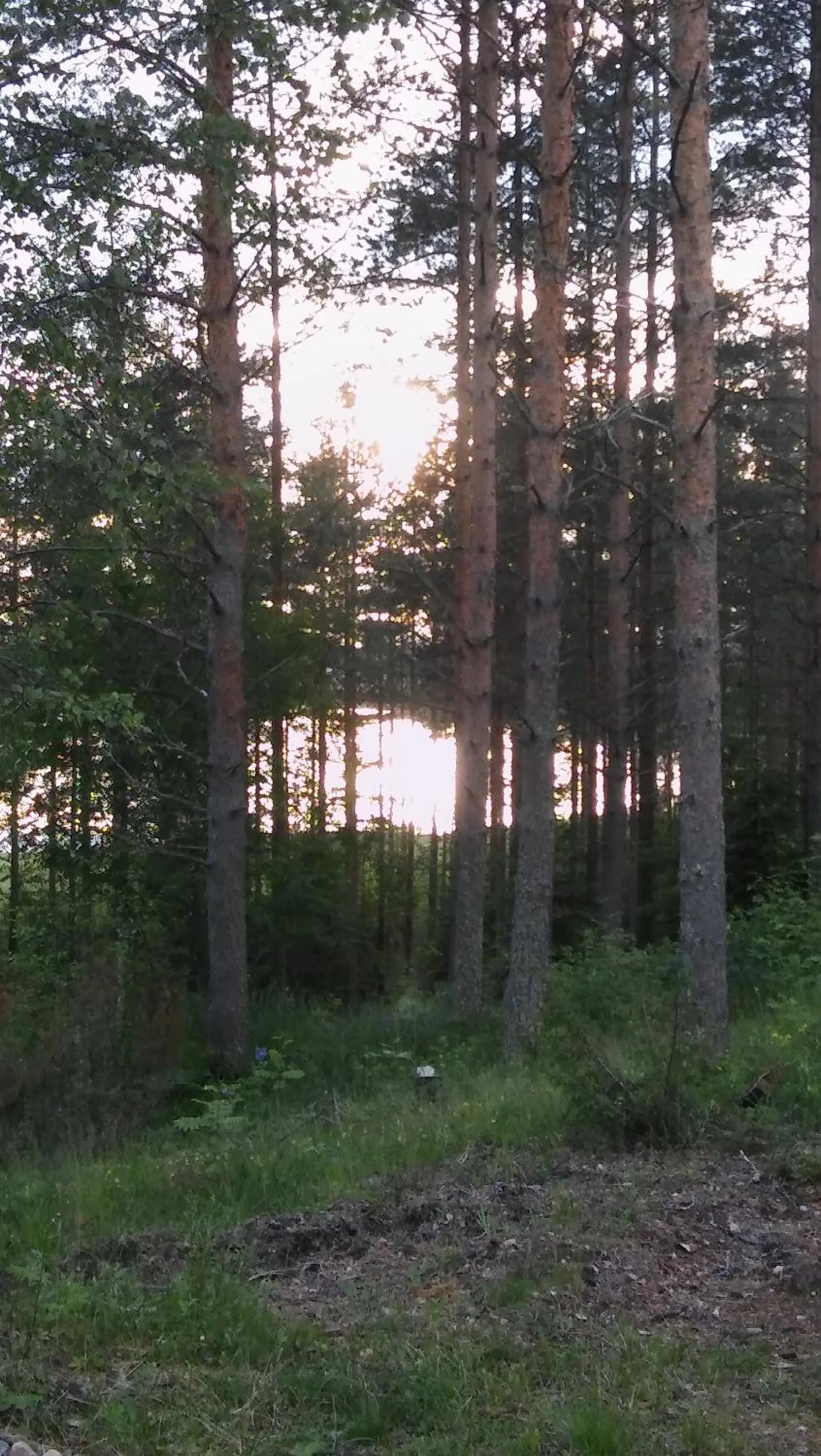 Lake view in Karkausmäen Kammari