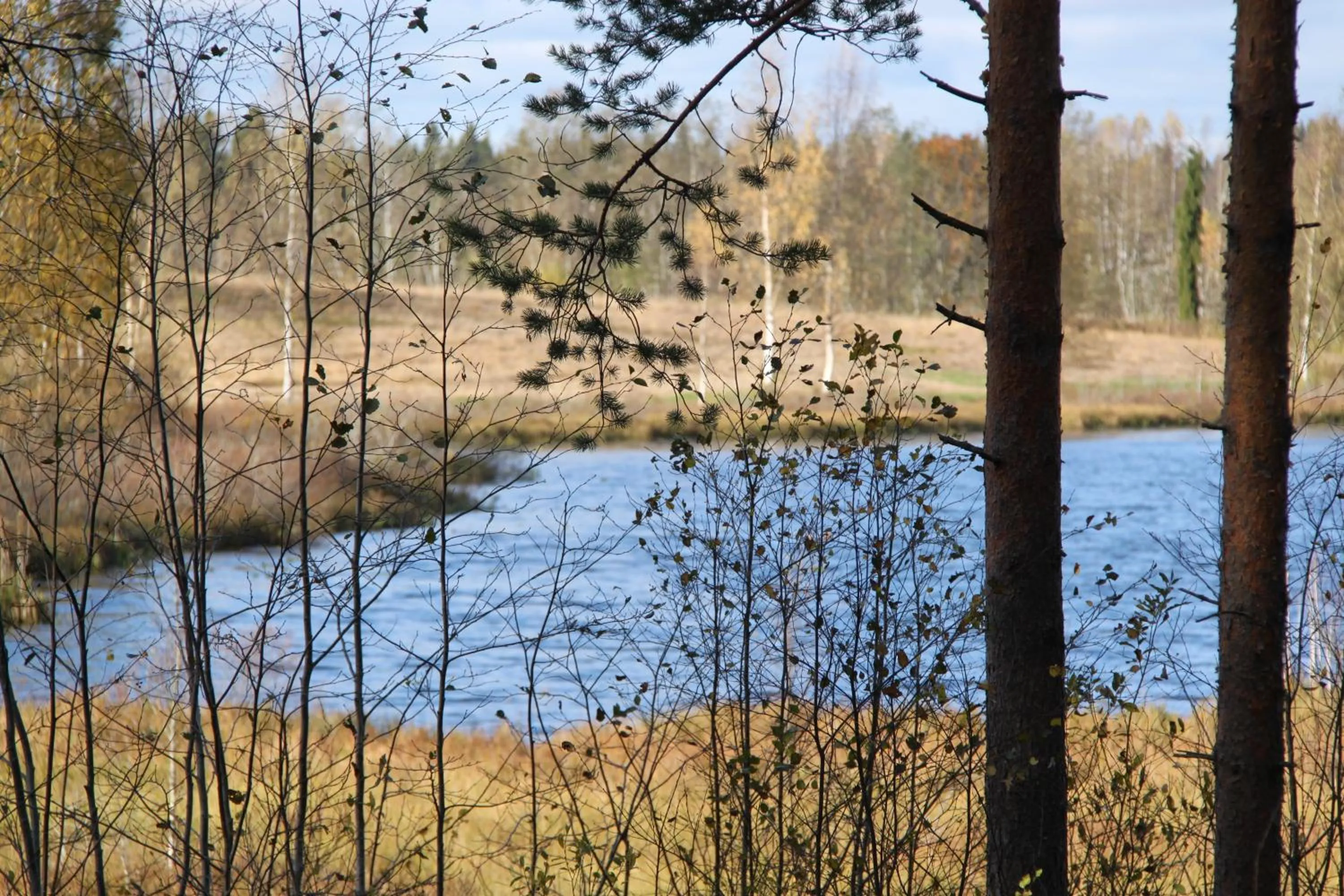 Lake view in Karkausmäen Kammari