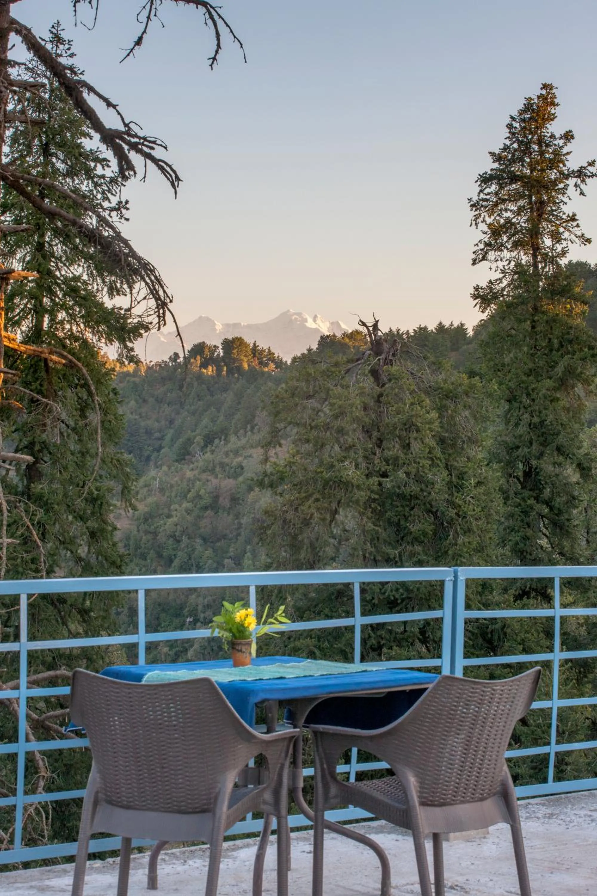 Mountain view in The Hermitage Kanatal