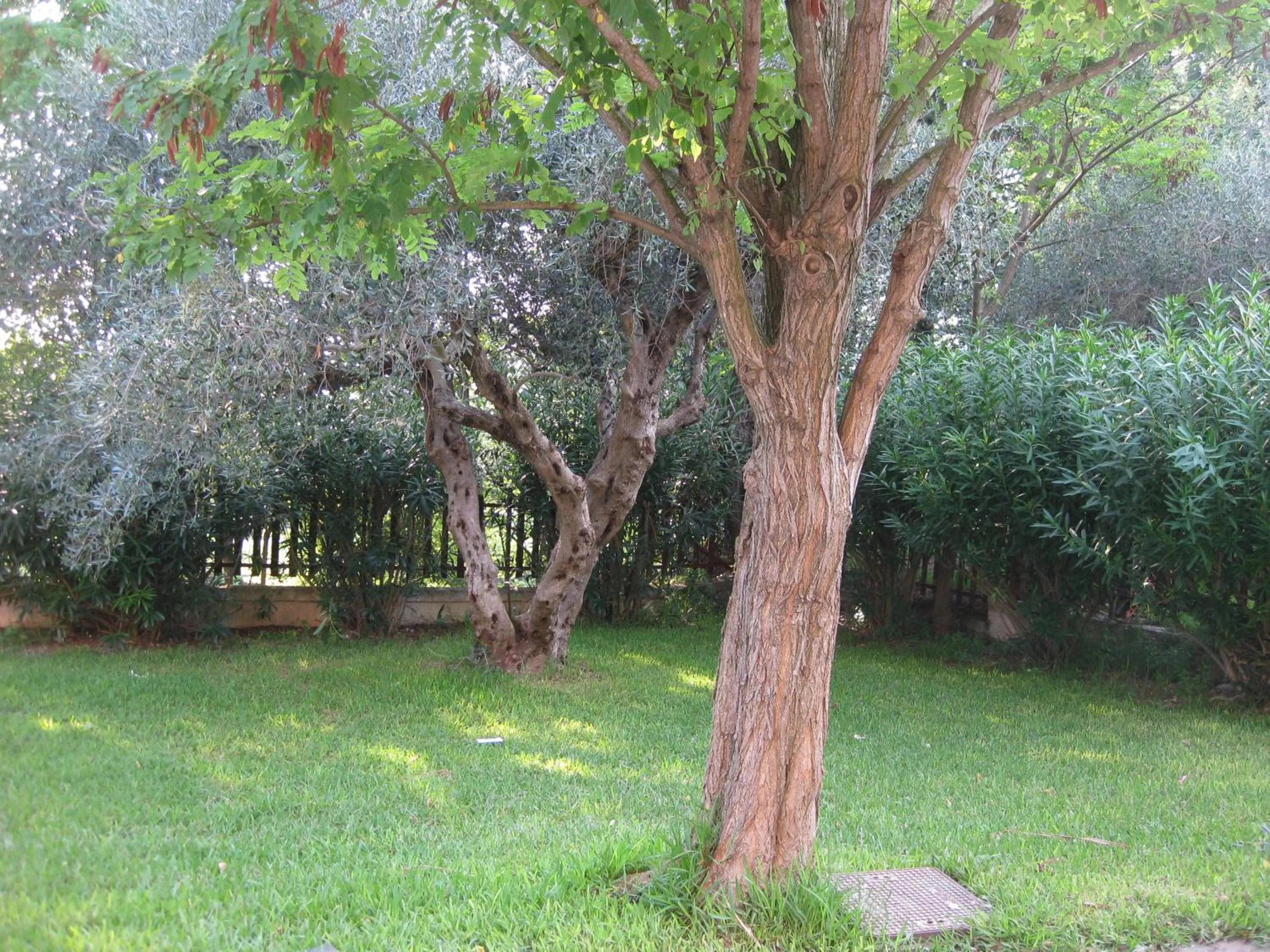 Garden in Caputaquis