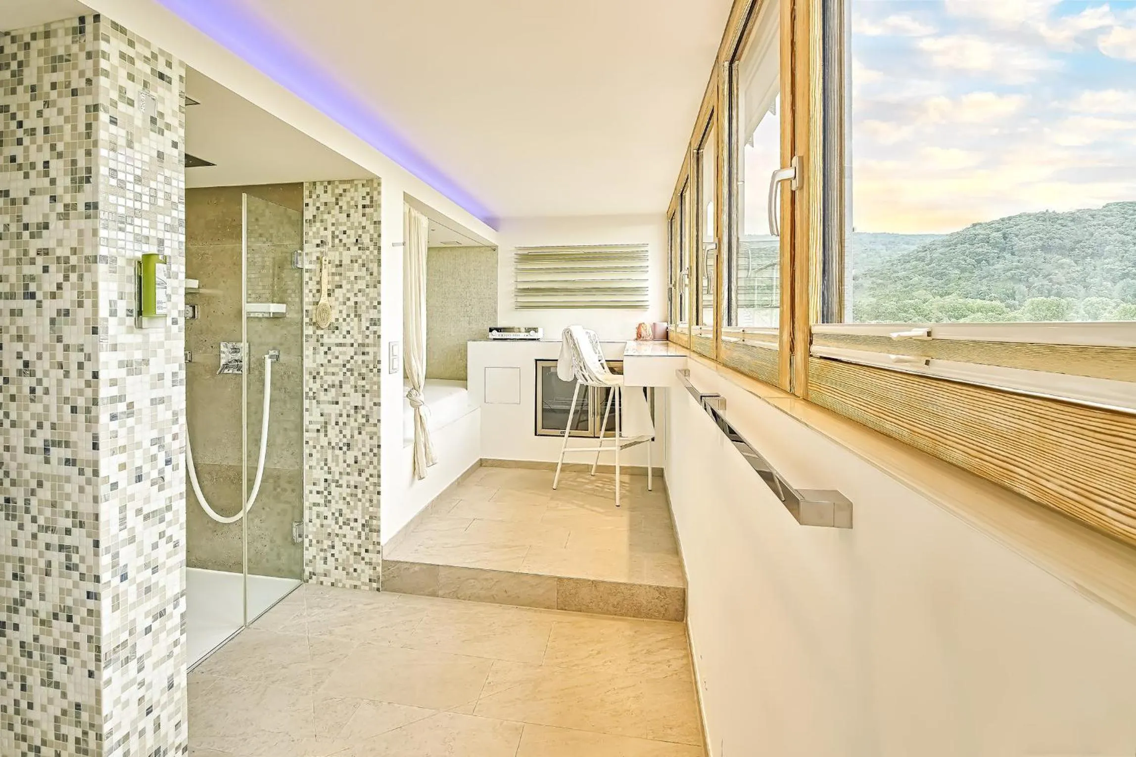 Sauna in Boutique Suites and Residences Heidelberg- Alte Zigarrenmanufaktur
