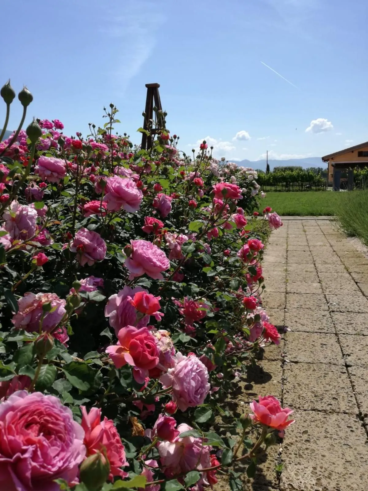 Garden in Il Fienile di Assisi