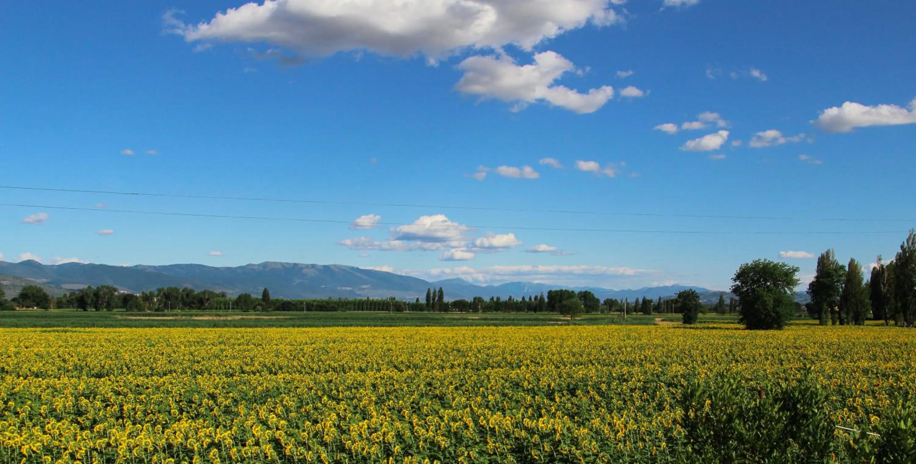 Natural landscape in Il Fienile di Assisi