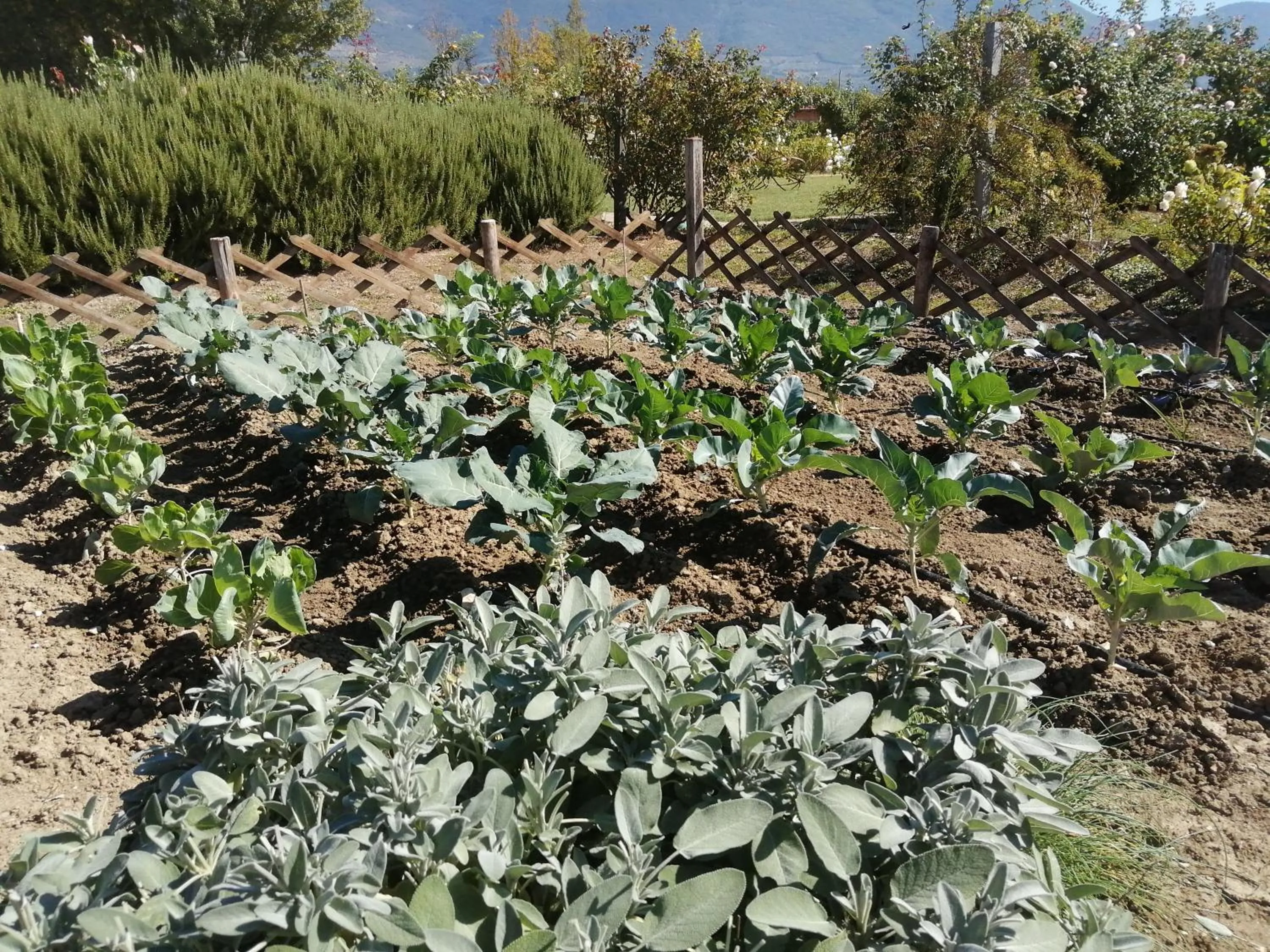 Il Fienile di Assisi
