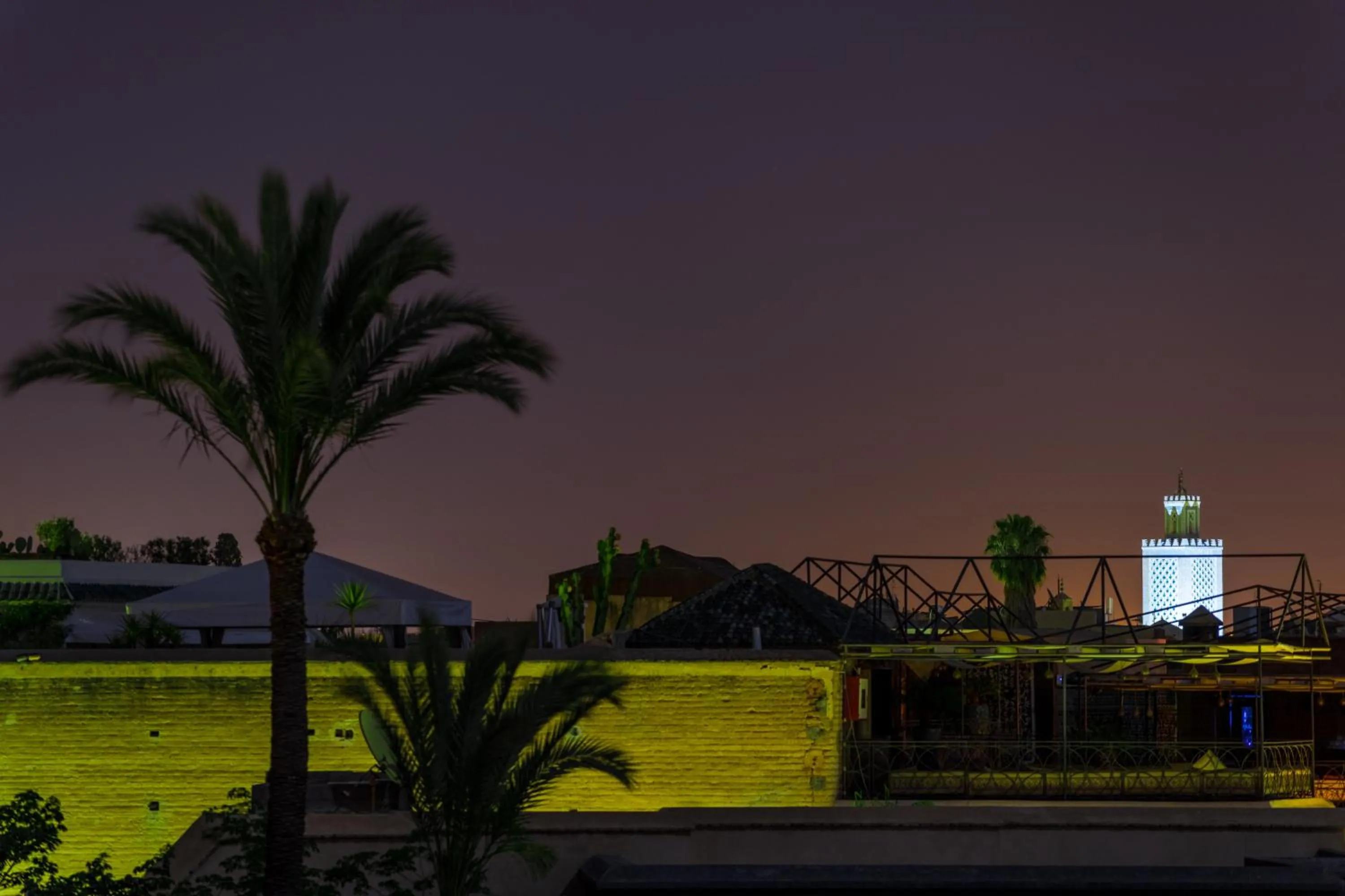 Garden in Riad Enchanté