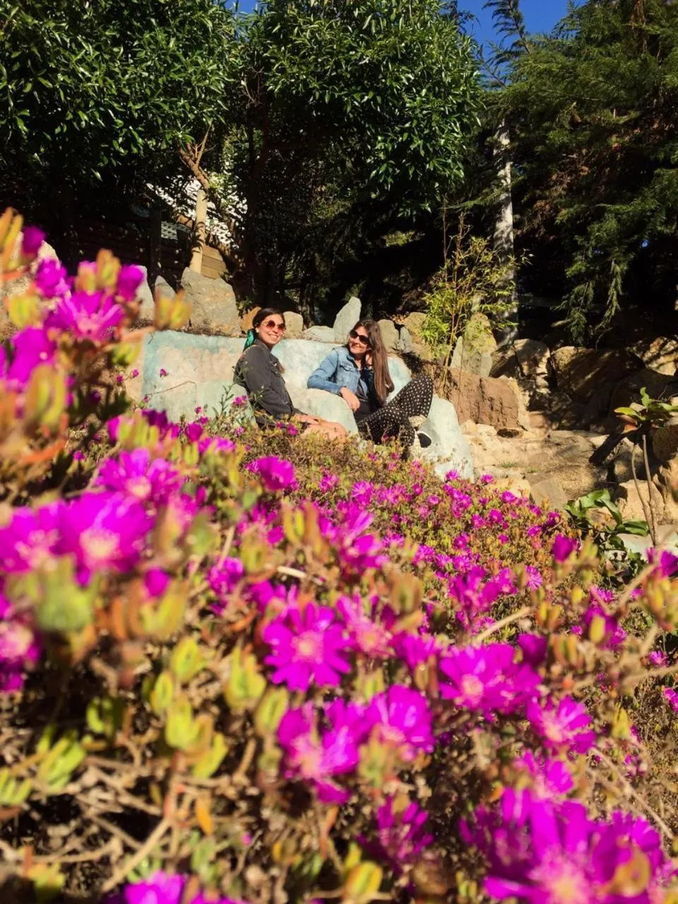 Natural landscape in Casa Cuento