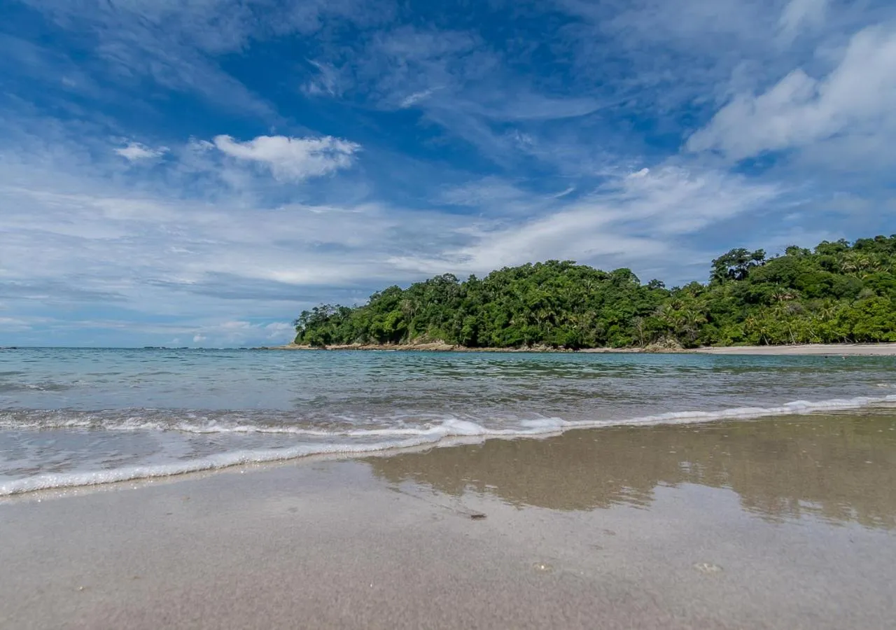 Beach in Hotel Manuel Antonio