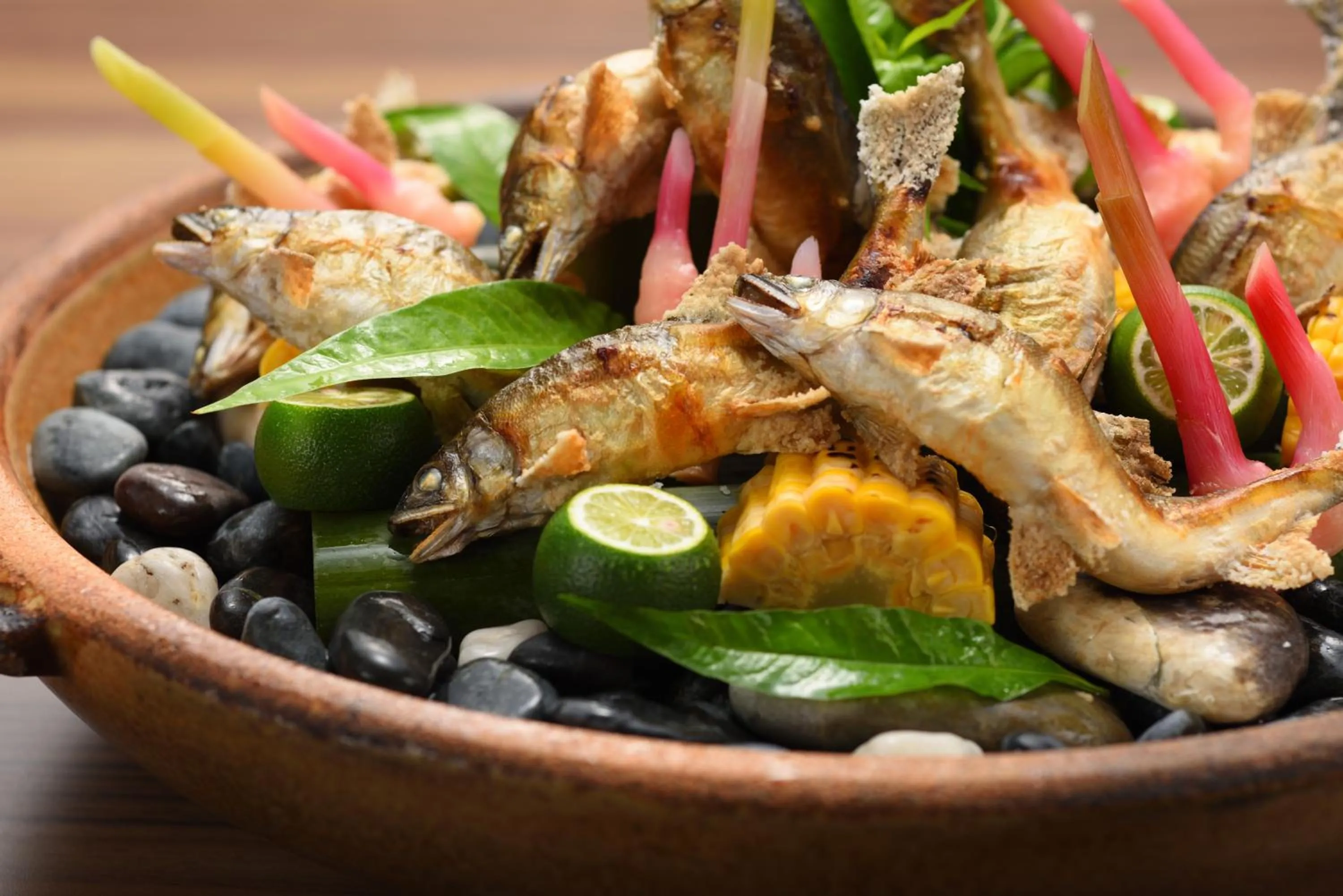 Dinner in Sakunami Onsen Yuzukushi Salon Ichinobo