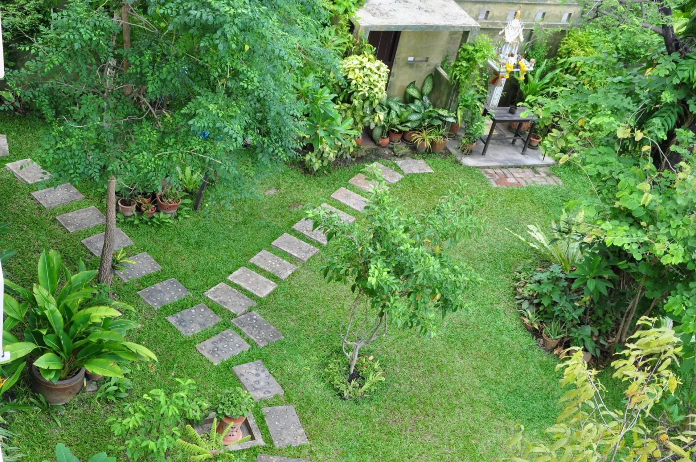 Garden in Thanaree place