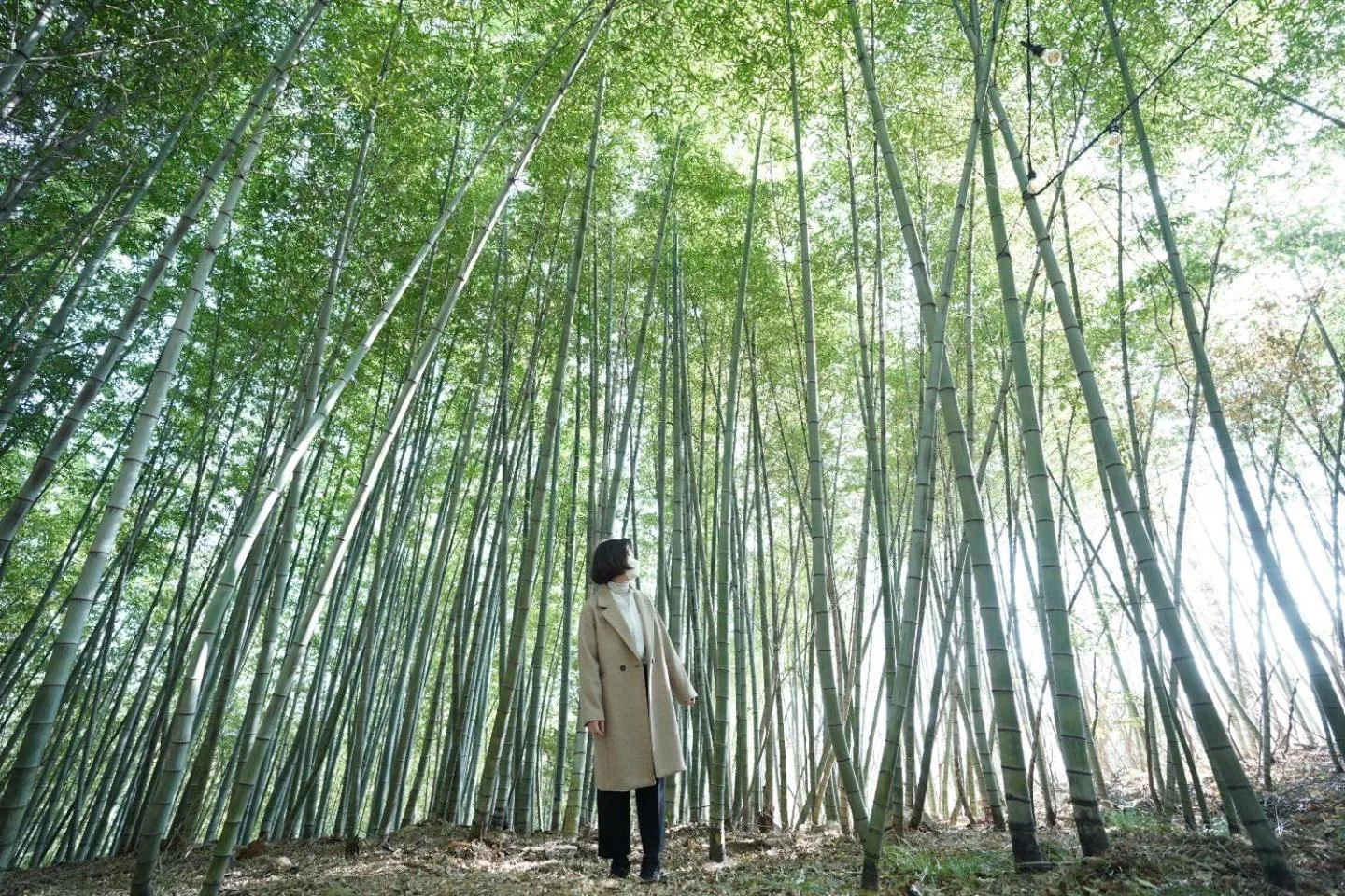 Natural landscape in Hotel SANG SANG & Private SANG SANG POOL VILLA