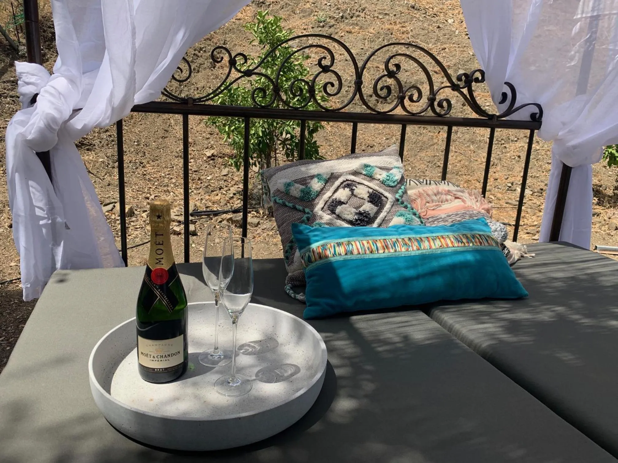 Garden in Bed And Breakfast Mirador Infinito