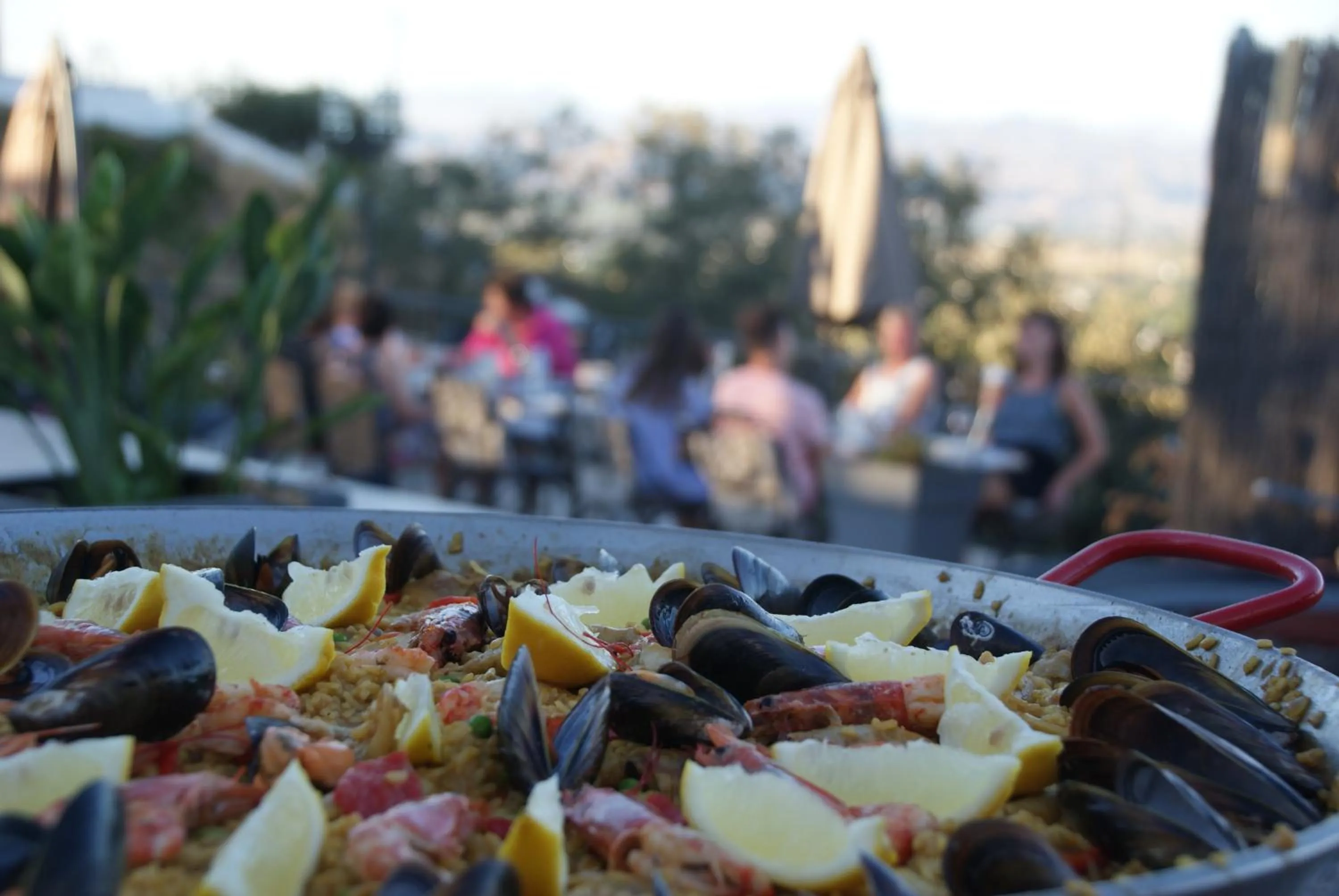 Food and drinks in Bed And Breakfast Mirador Infinito