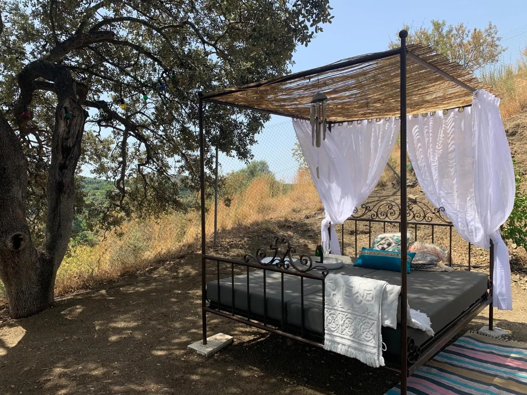 Garden in Bed And Breakfast Mirador Infinito