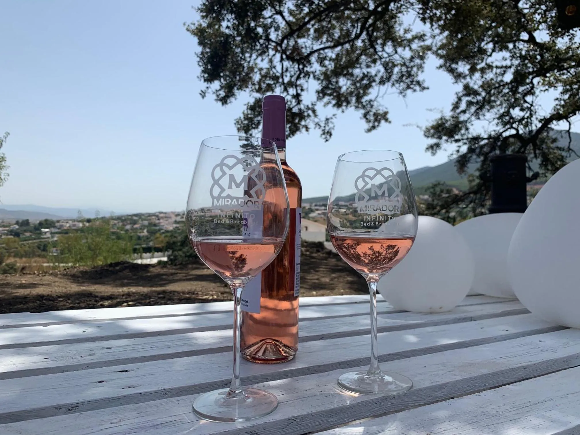 Garden in Bed And Breakfast Mirador Infinito