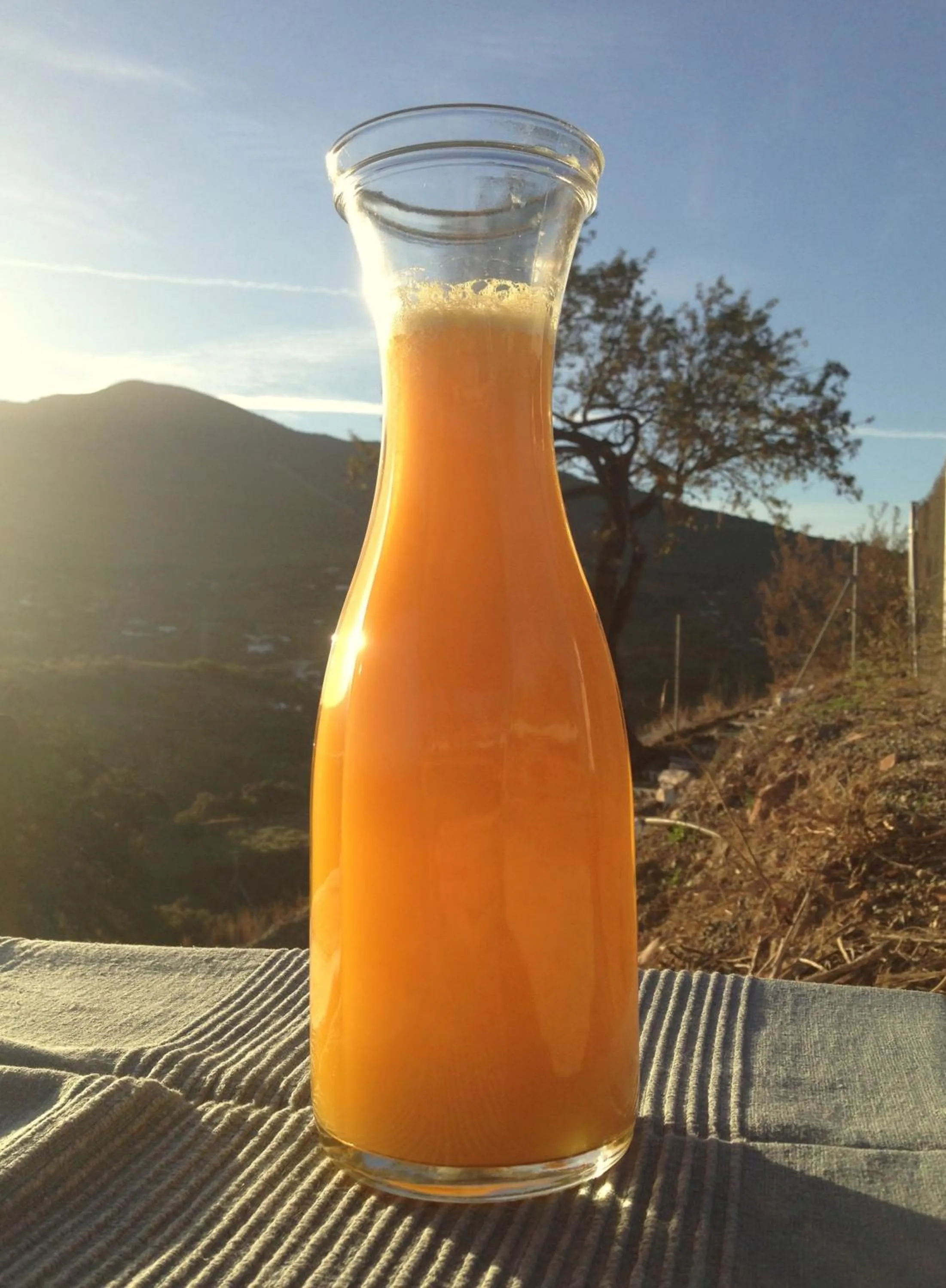 Decorative detail in Bed And Breakfast Mirador Infinito