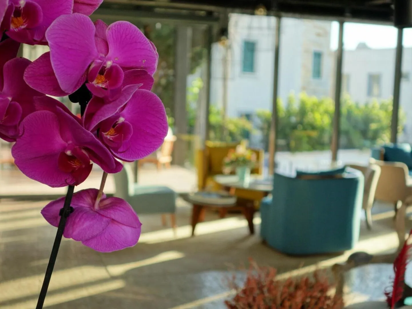 Lobby or reception in Eskiceshme Bodrum Marina