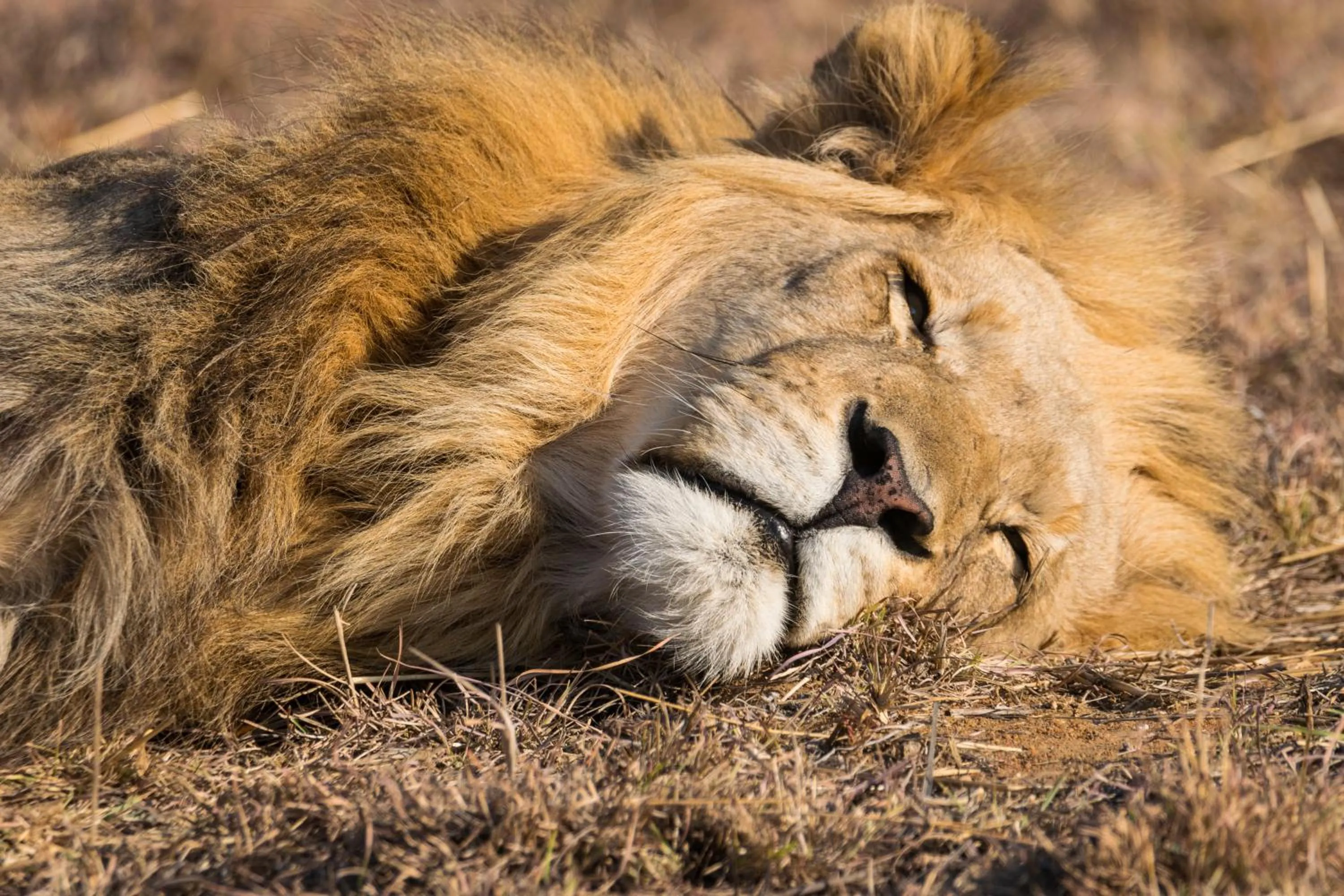 Natural landscape in Kwafubesi Tented Safari Camp