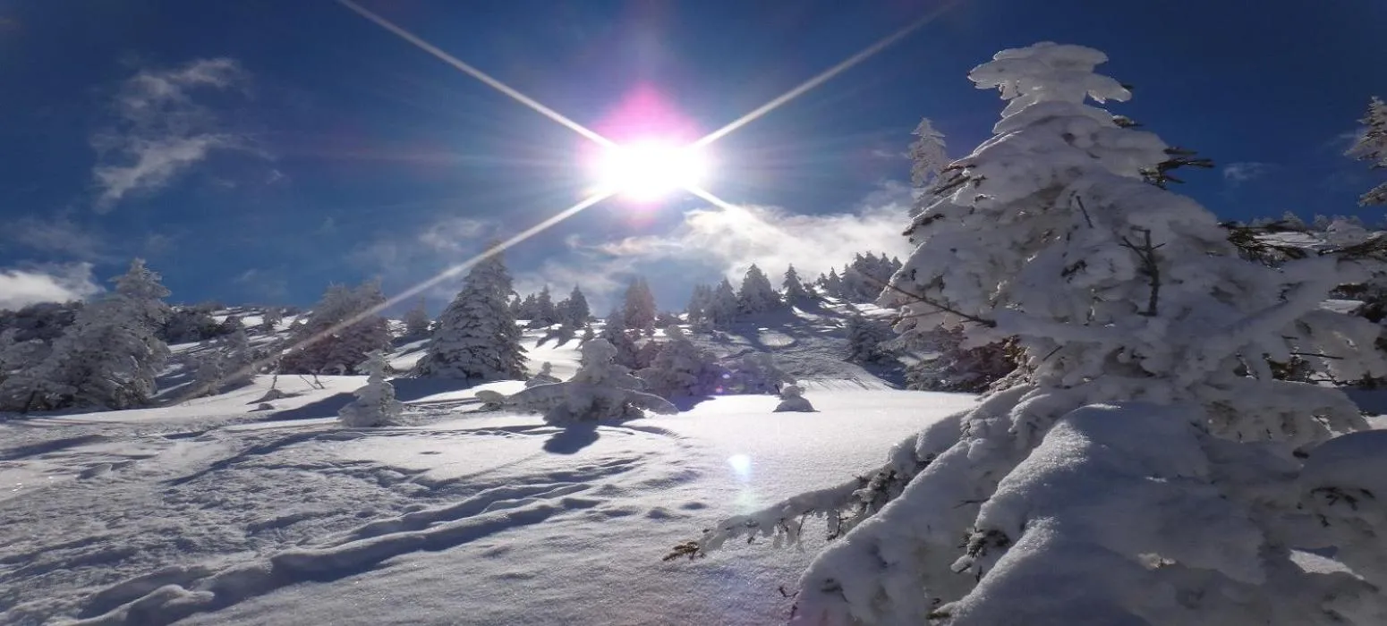 Winter in Apartment Kirchberg by Apartment Managers