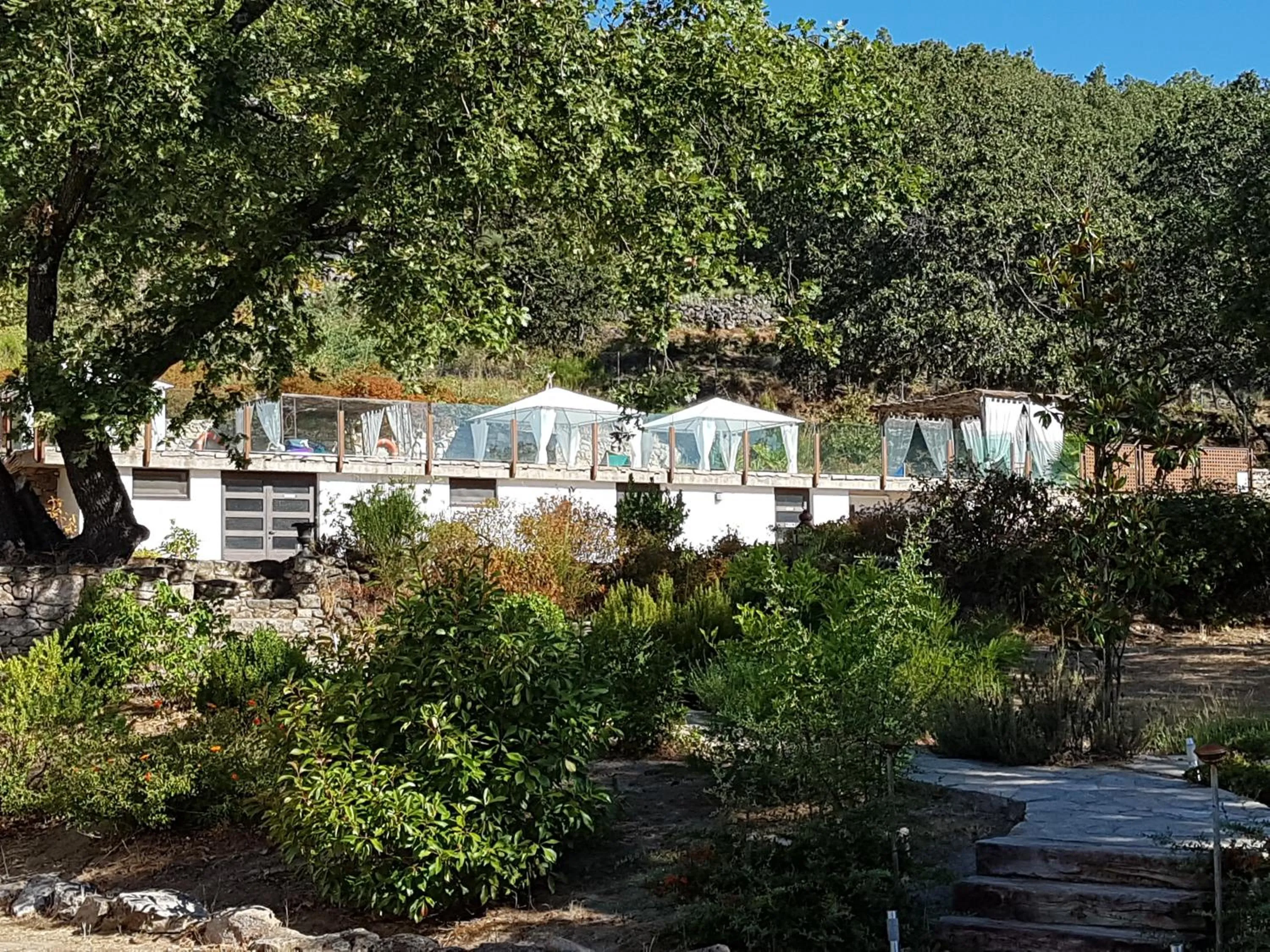 Swimming pool in El Sosiego
