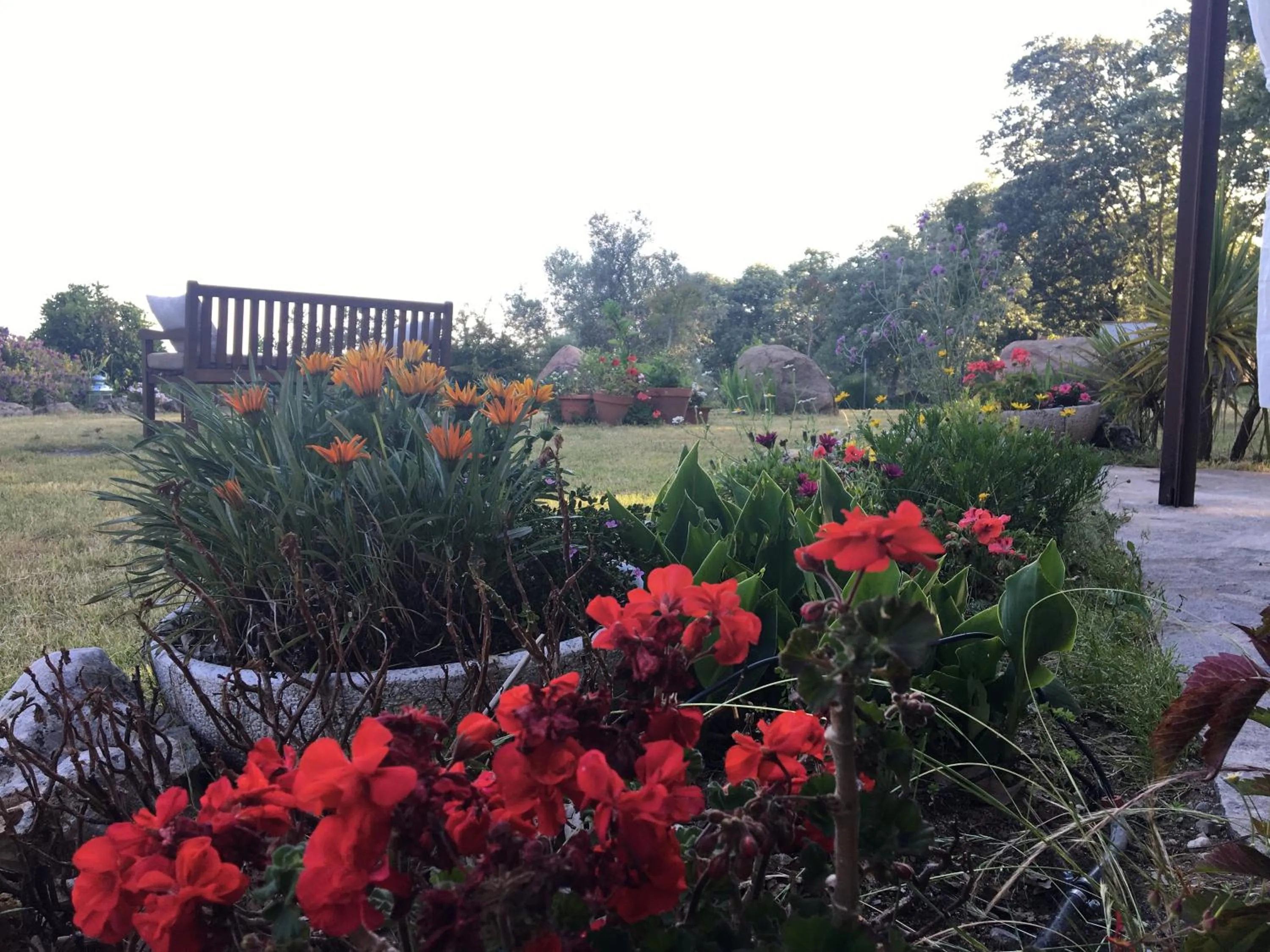 Garden view in El Sosiego