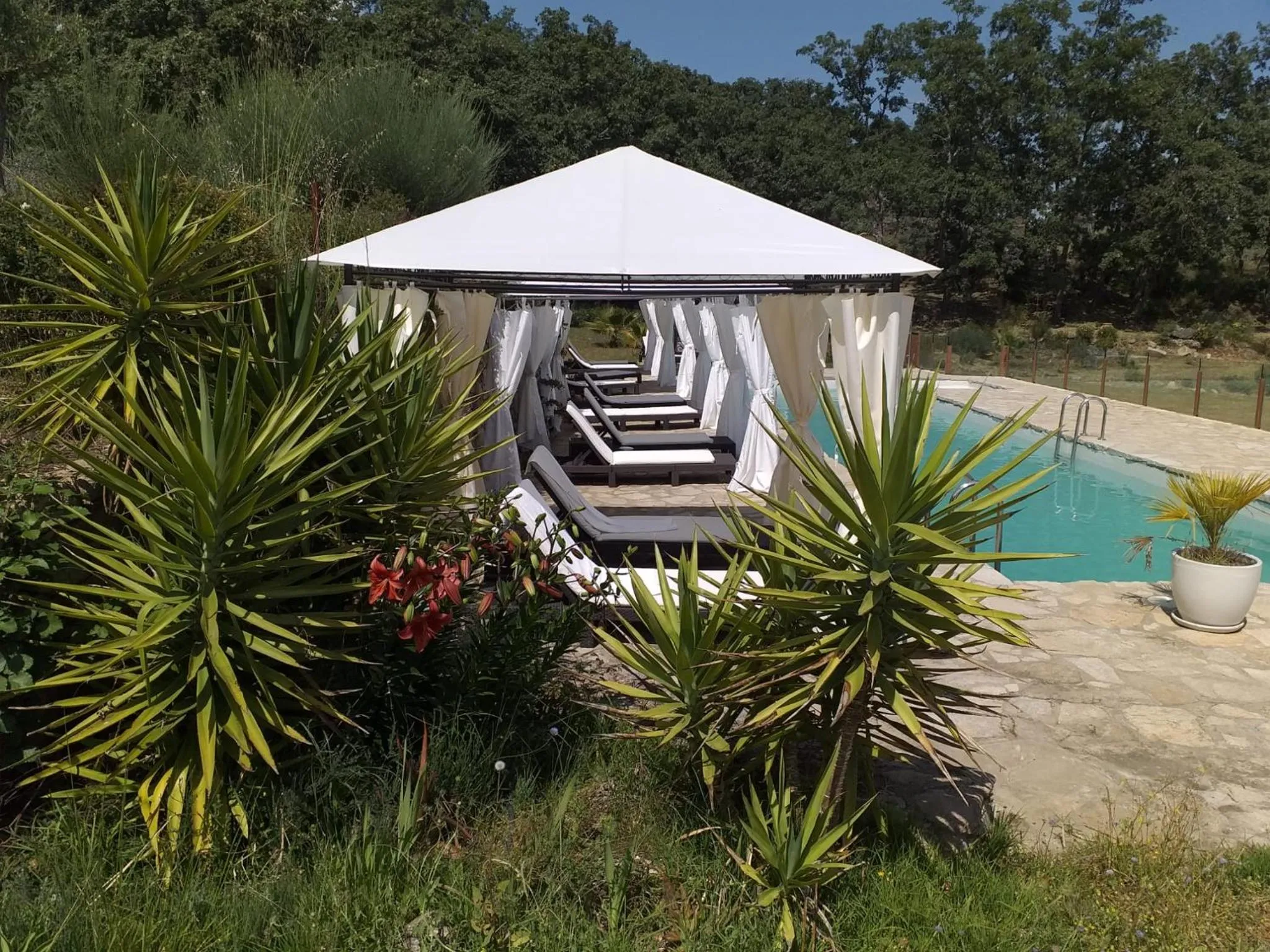 Swimming pool in El Sosiego