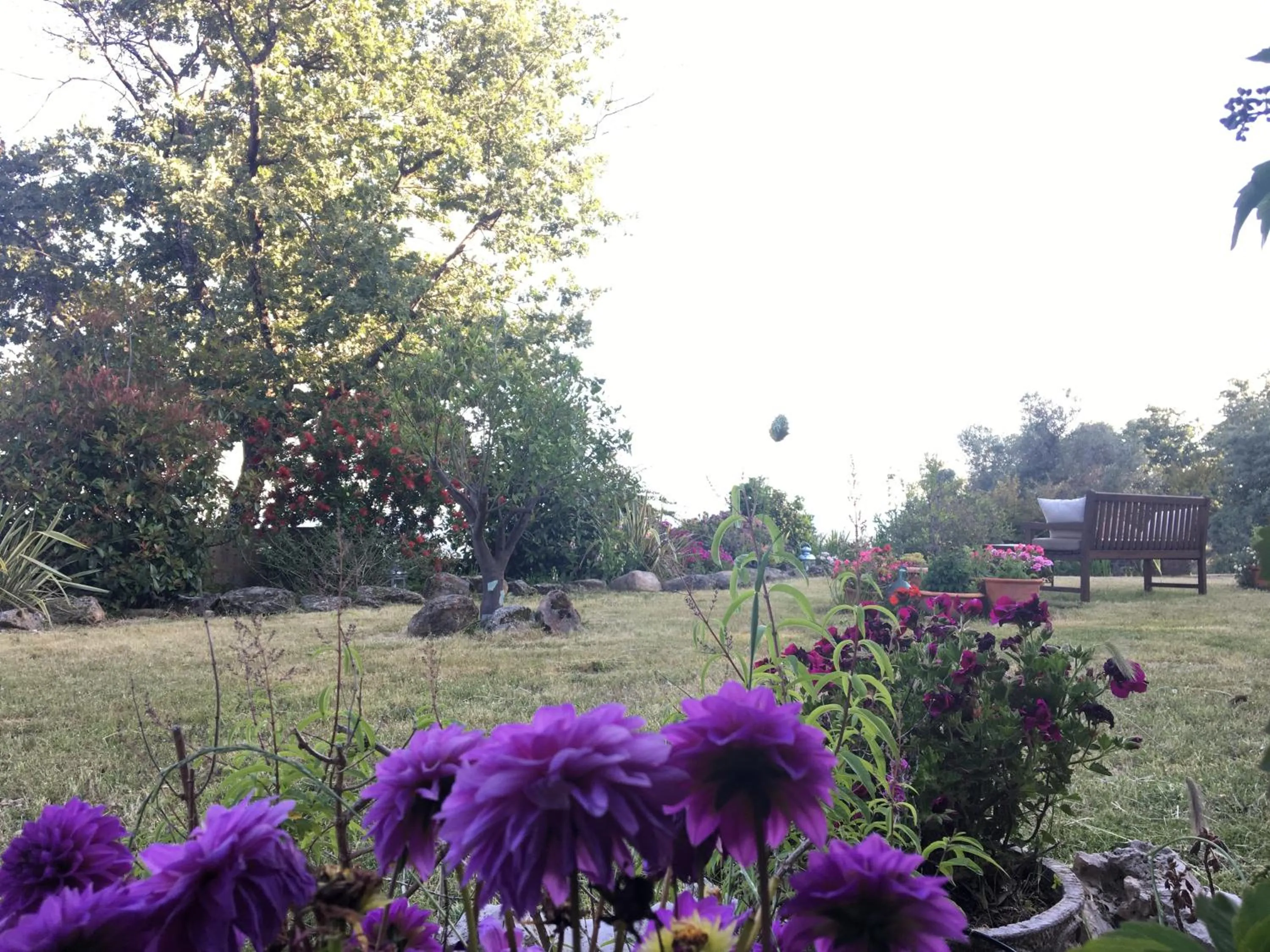 Garden view in El Sosiego