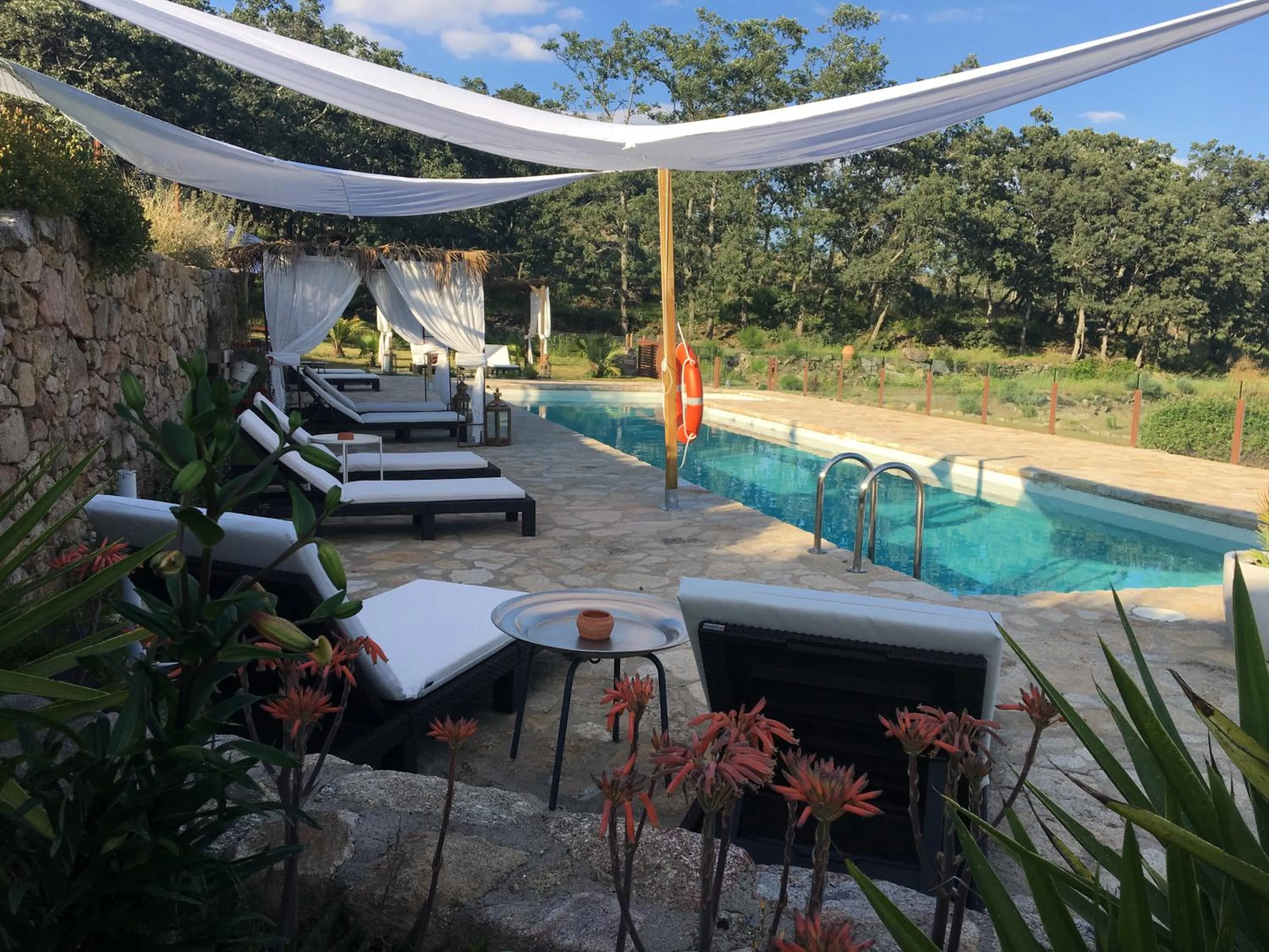 Pool view in El Sosiego