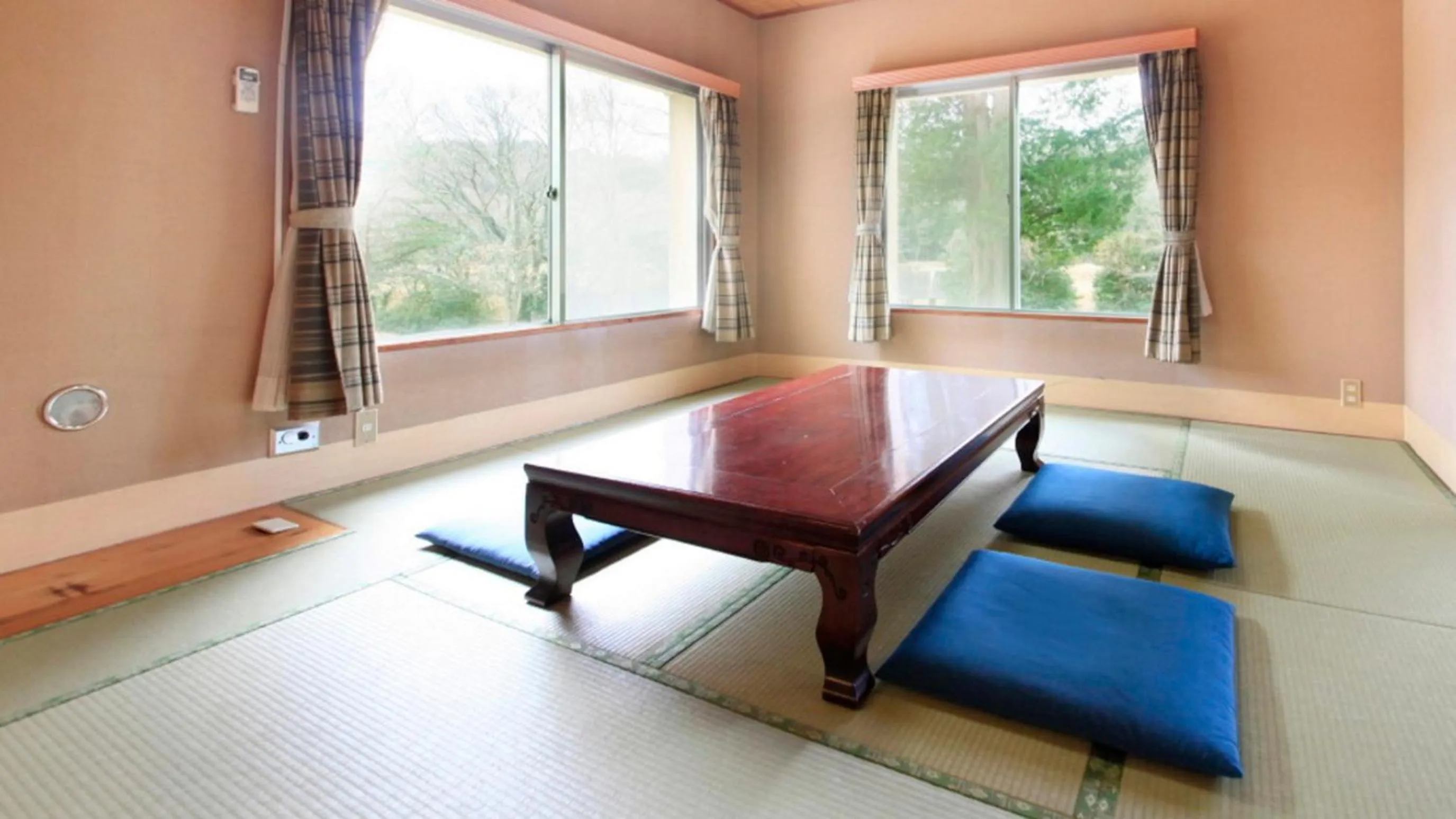Photo of the whole room in Izu Ippeki Lake Lakeside Terrace