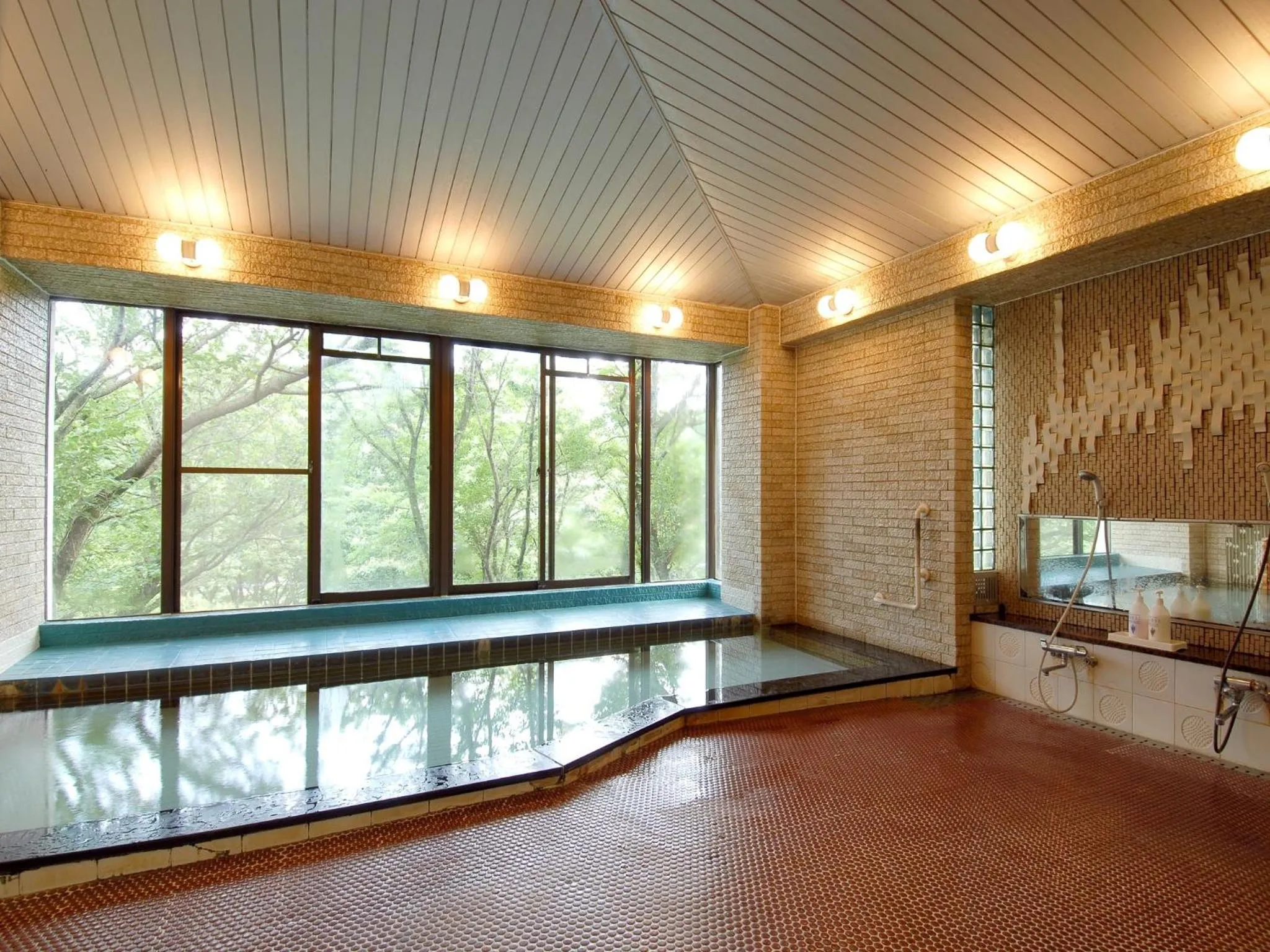 Hot Spring Bath in Izu Ippeki Lake Lakeside Terrace