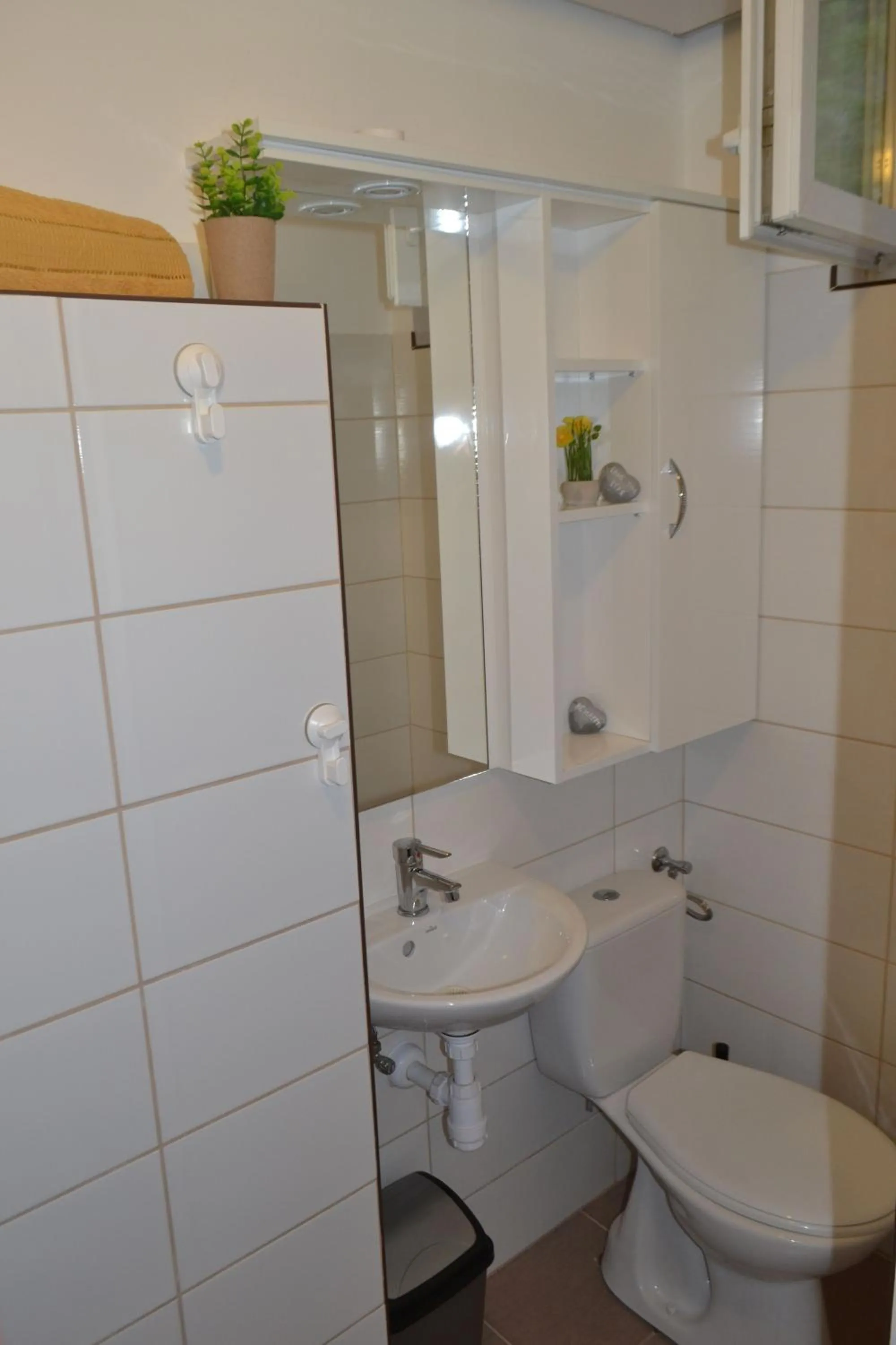 Toilet in Arapartman