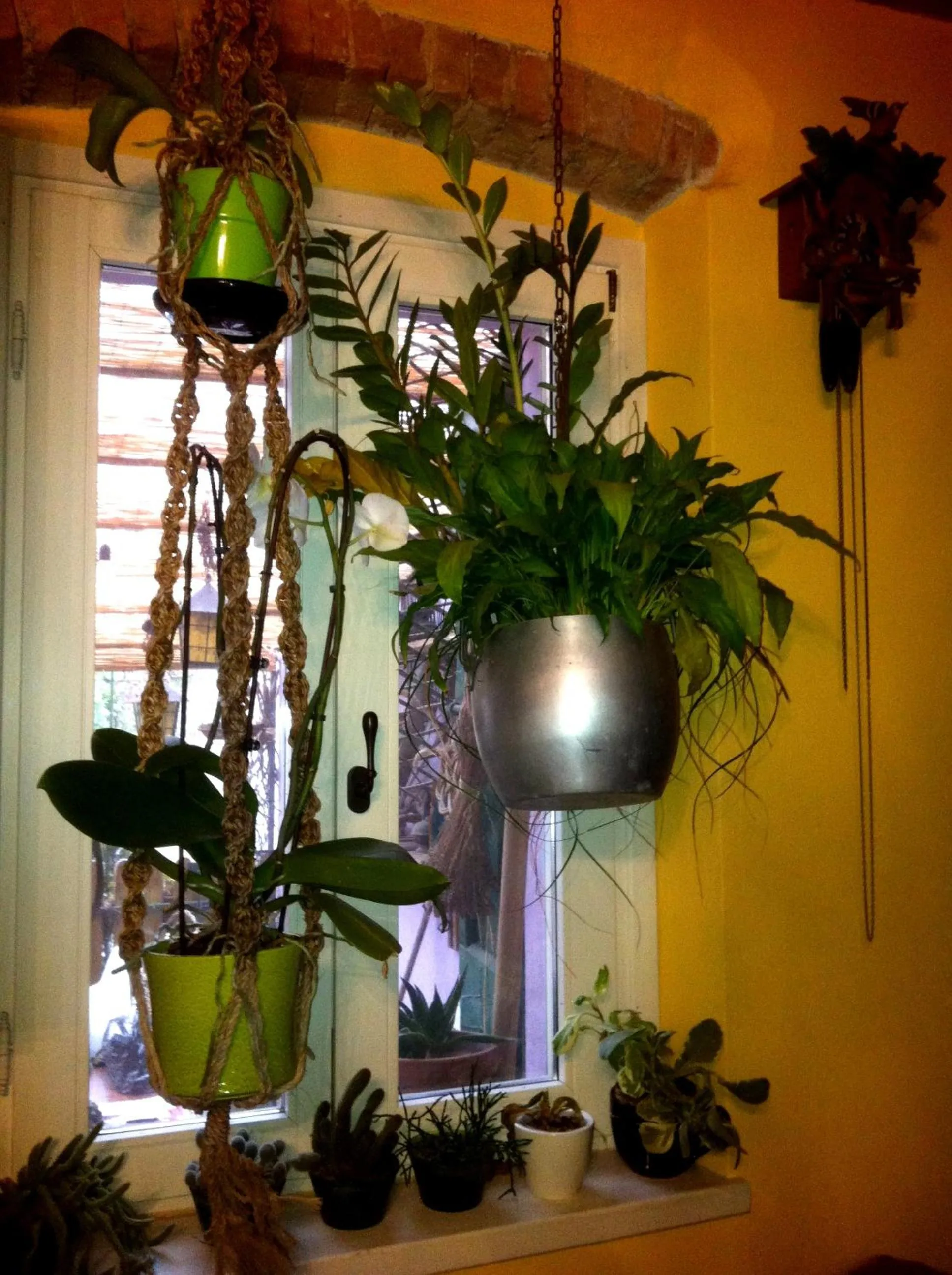 Decorative detail in A Casa di Susi