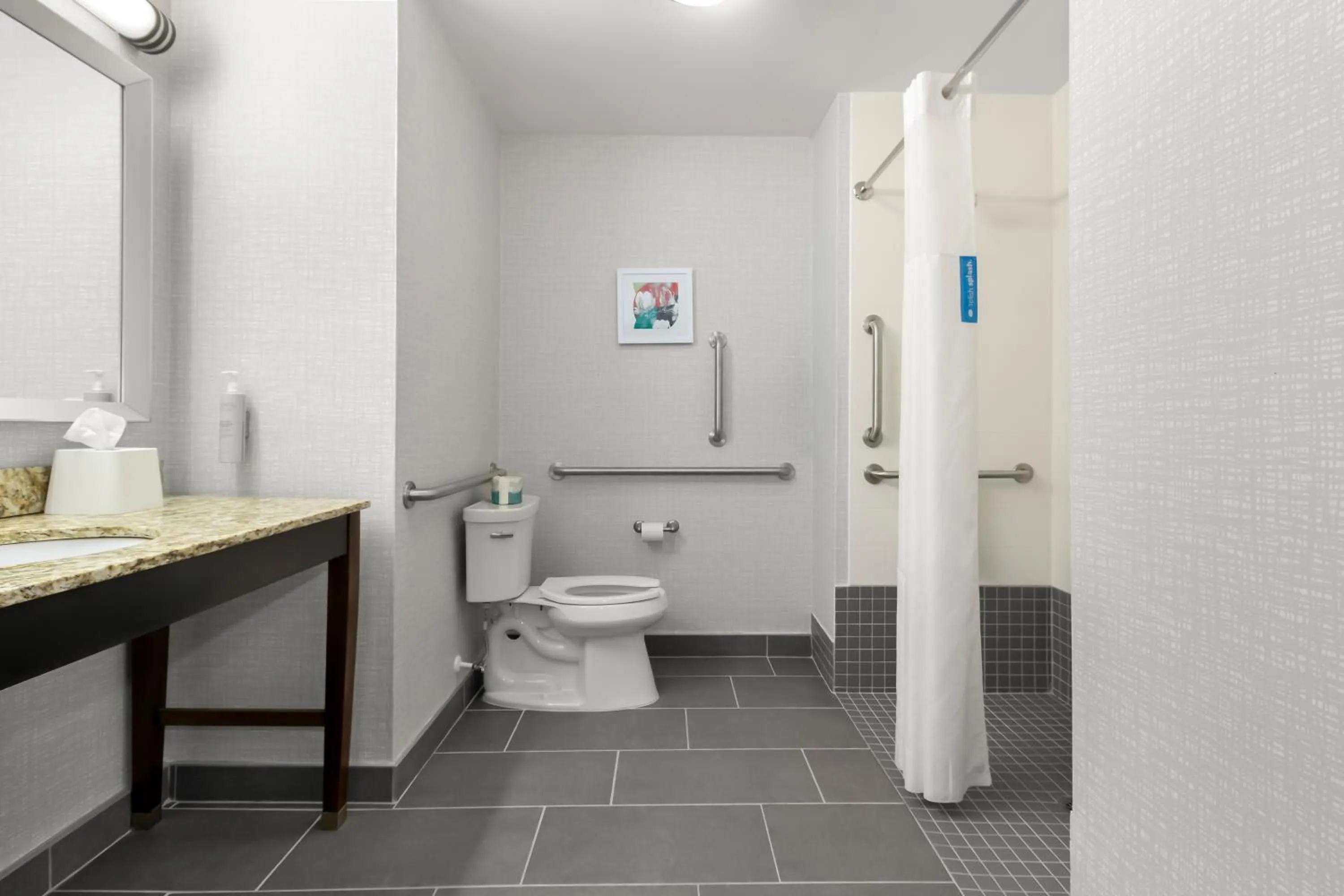 Bathroom in Hampton Inn & Suites - Hartsville, SC