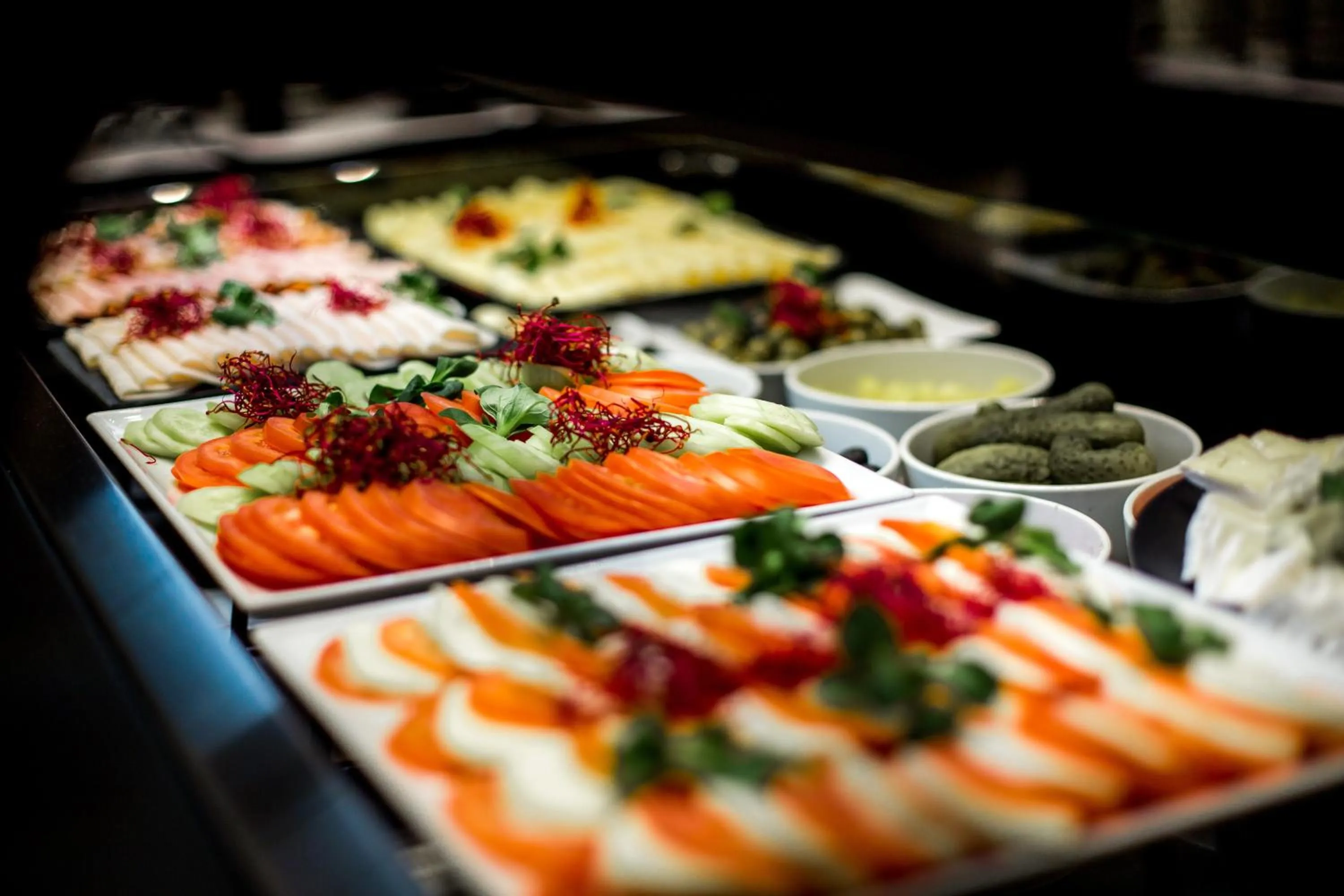 Restaurant/places to eat in Hotel Dana Business & Conference