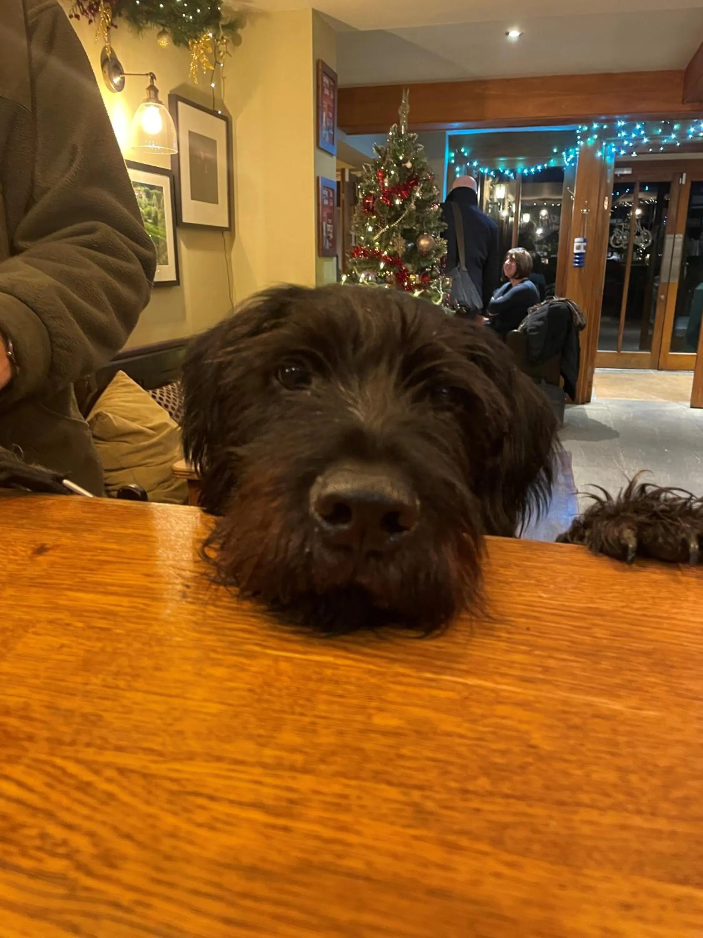 Pets in Oak Tree Inn