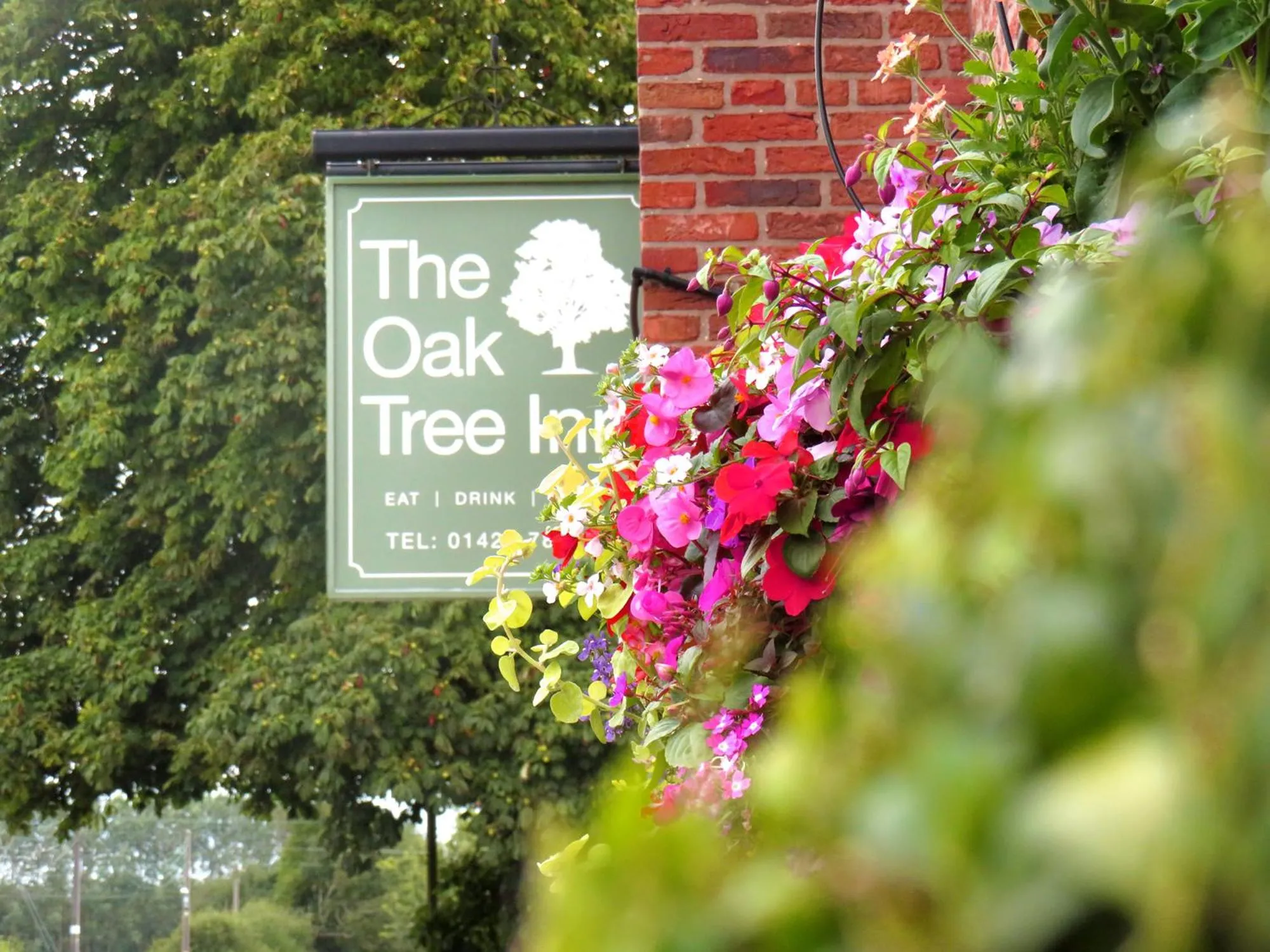 Property building in Oak Tree Inn