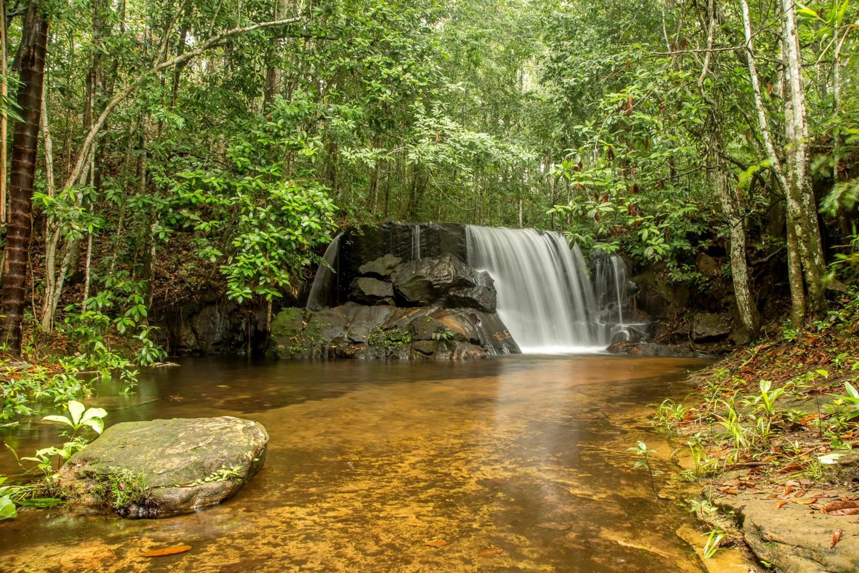 Off site in New Center Hotel