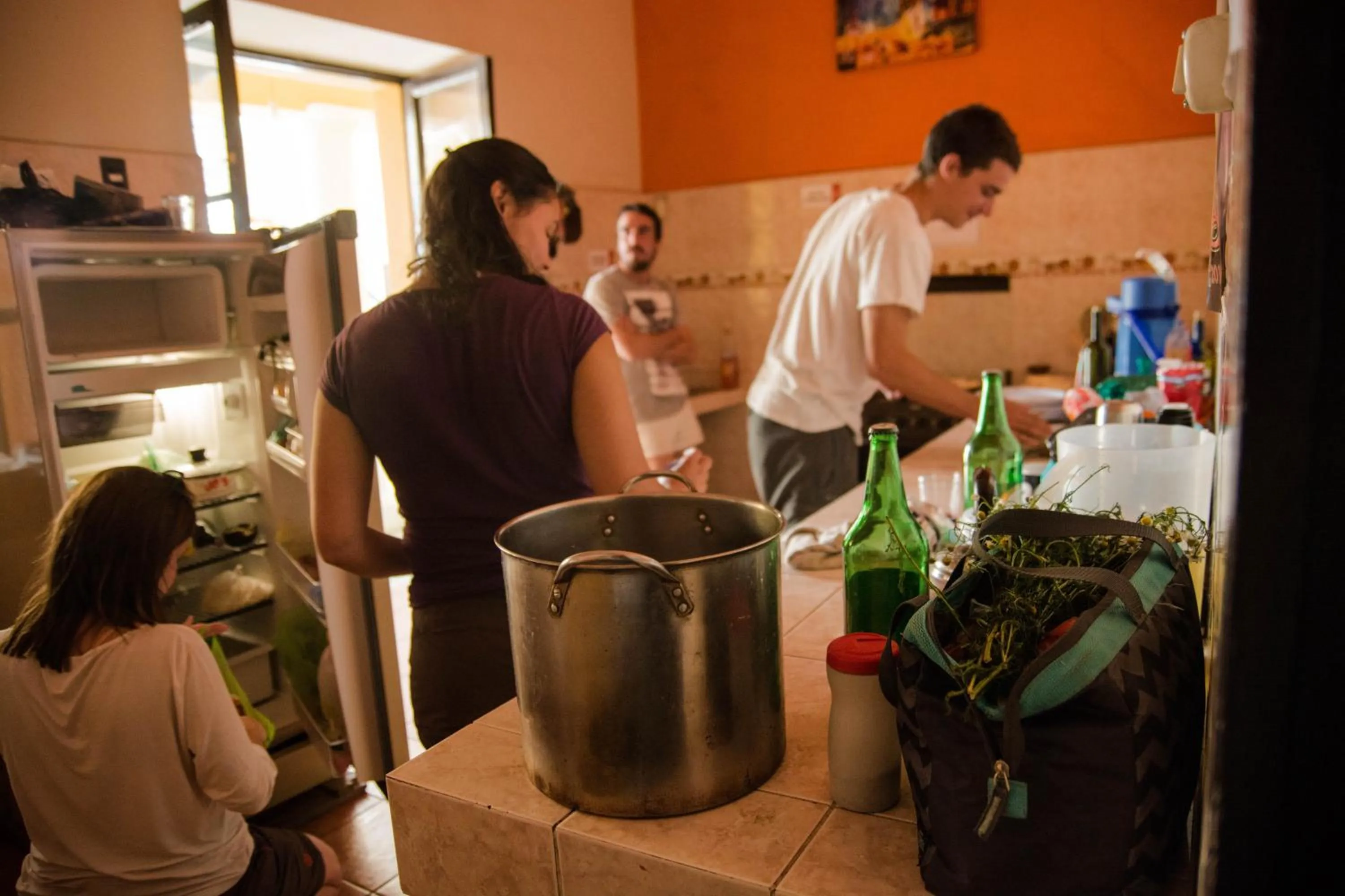 Guests in Colors House