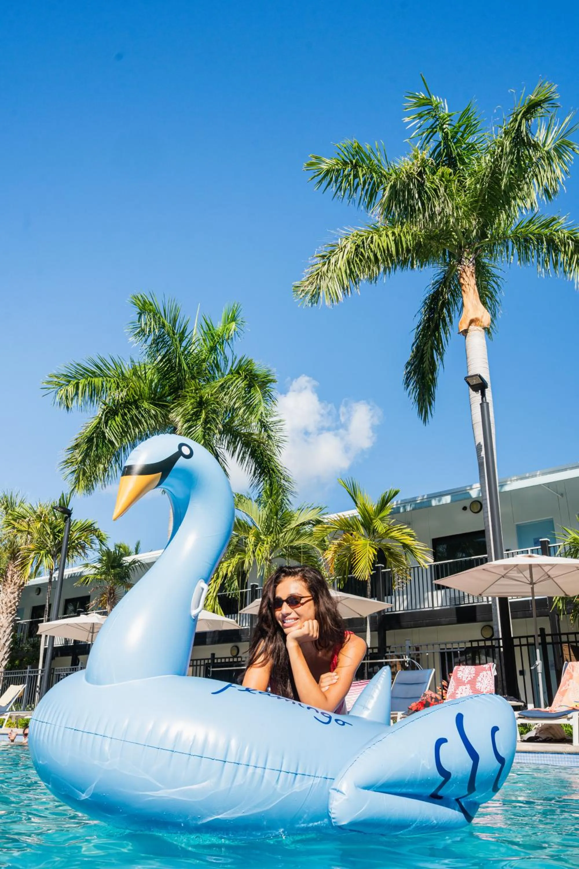 Activities in Blue Flamingo Resort Key West