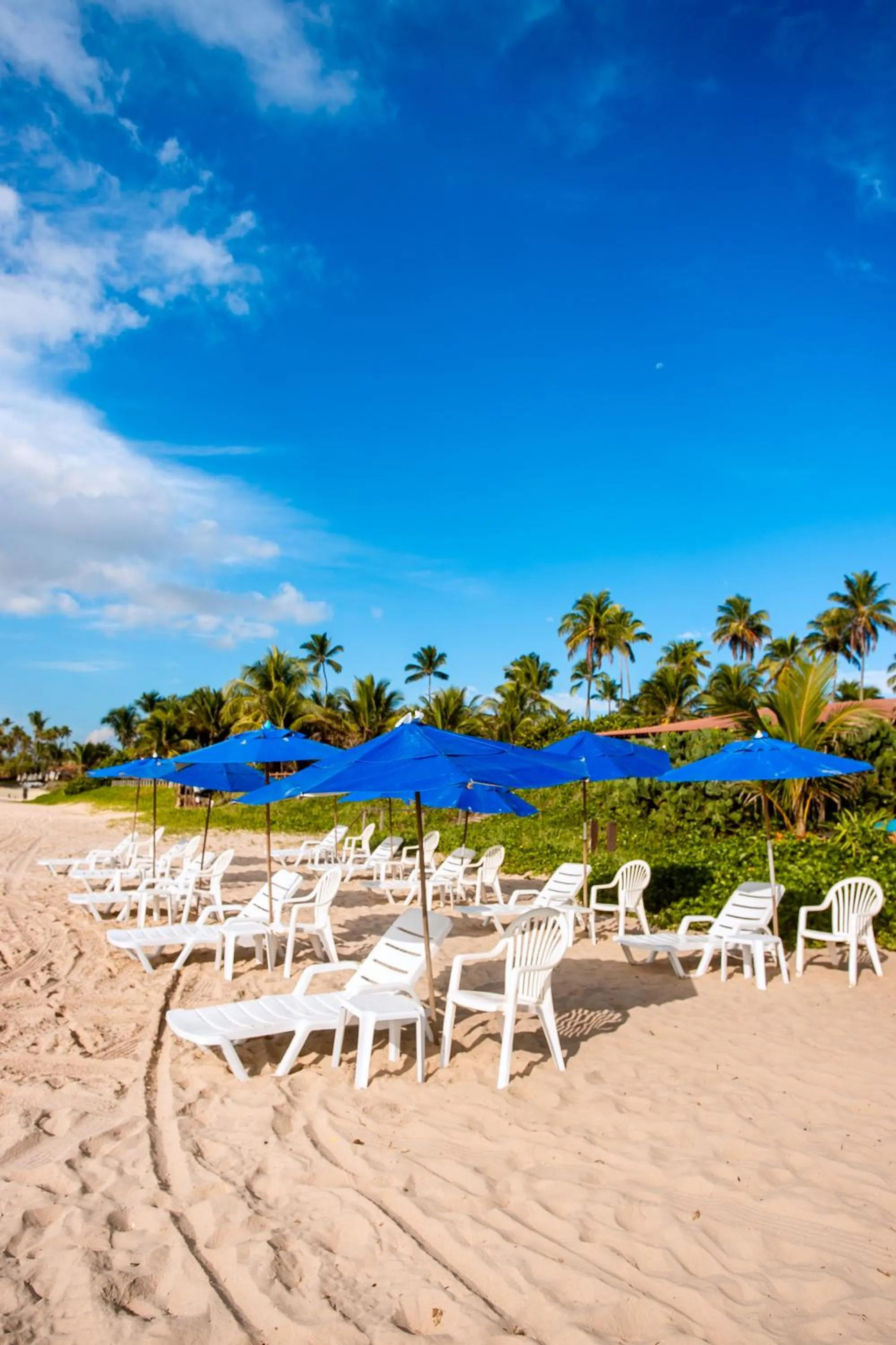 Natural landscape in Tabaobí Smart Hotel