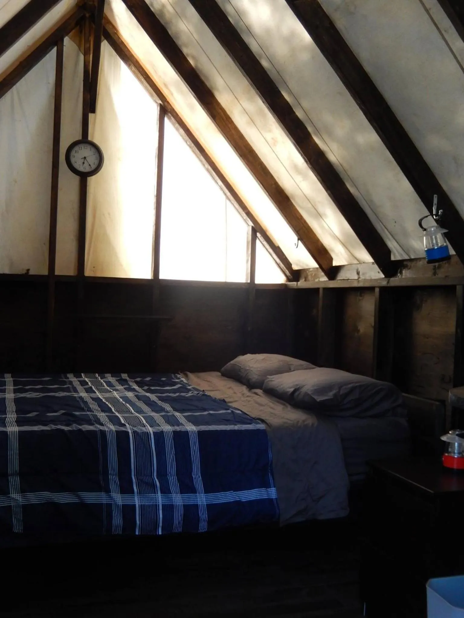 Bed in Wanderer's Inn Backpackers Hostel