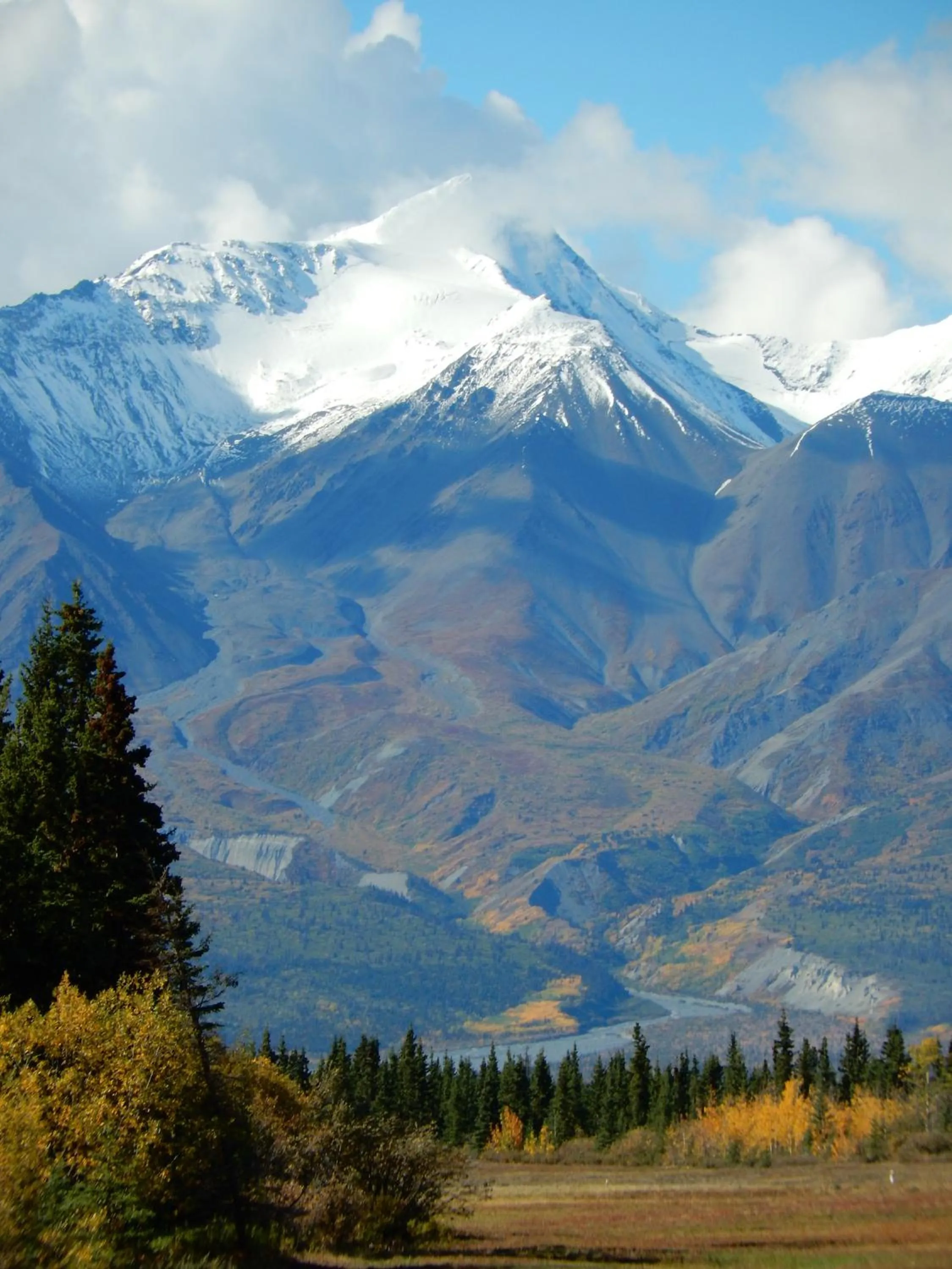 Natural landscape in Wanderer's Inn Backpackers Hostel