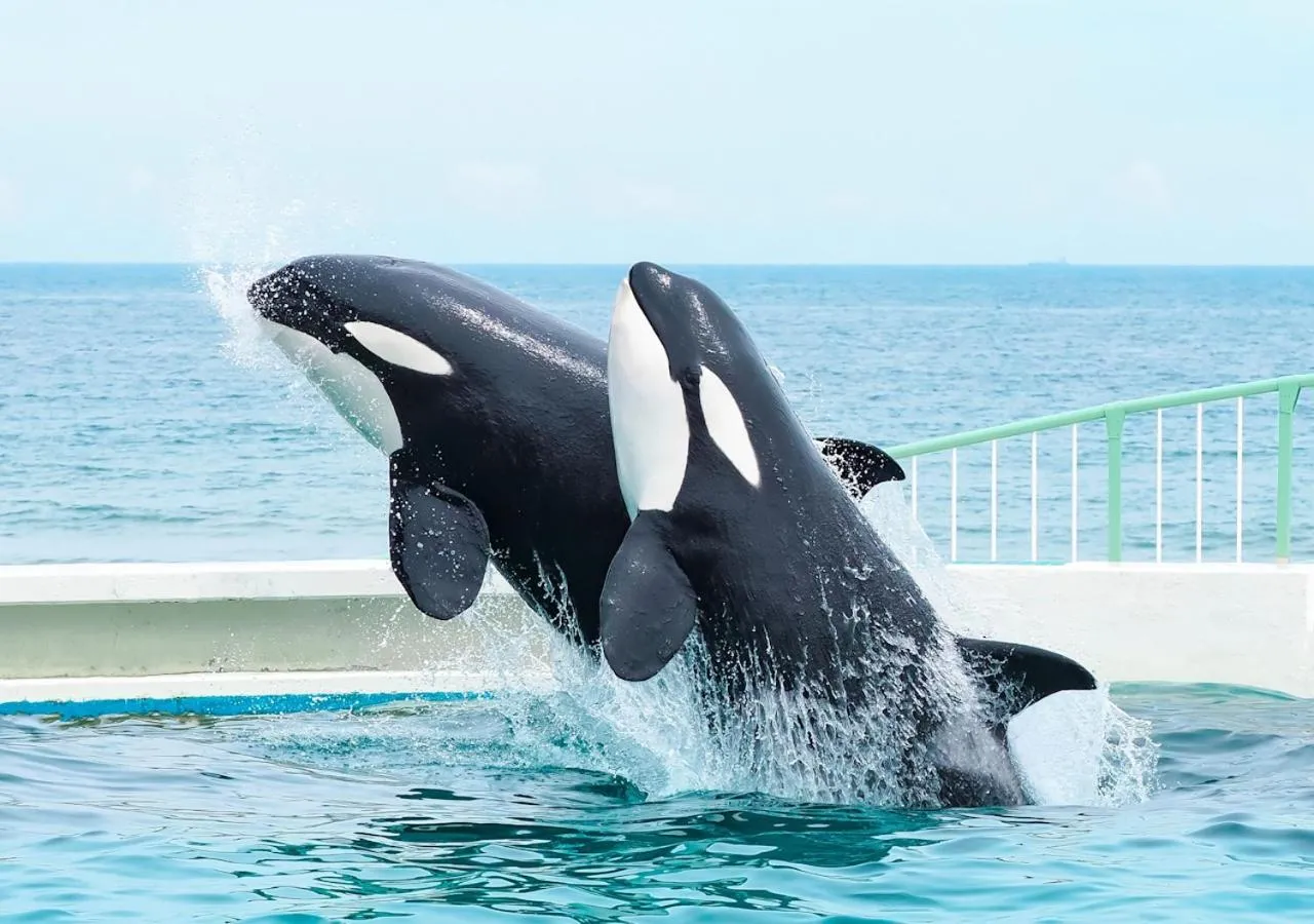 Nearby landmark in Kamogawa Grand Tower