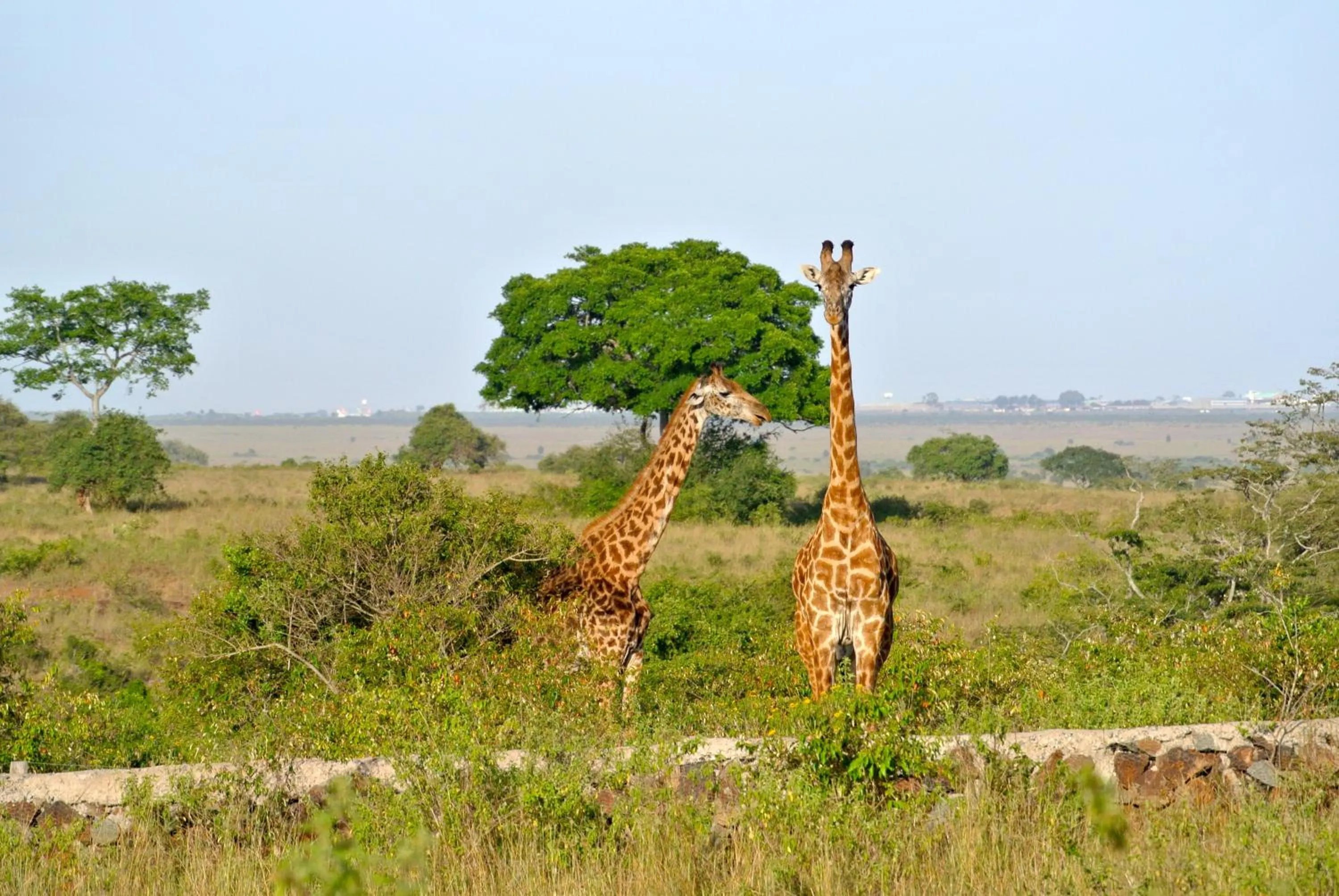 Hiking in Nyati Hill Cottages