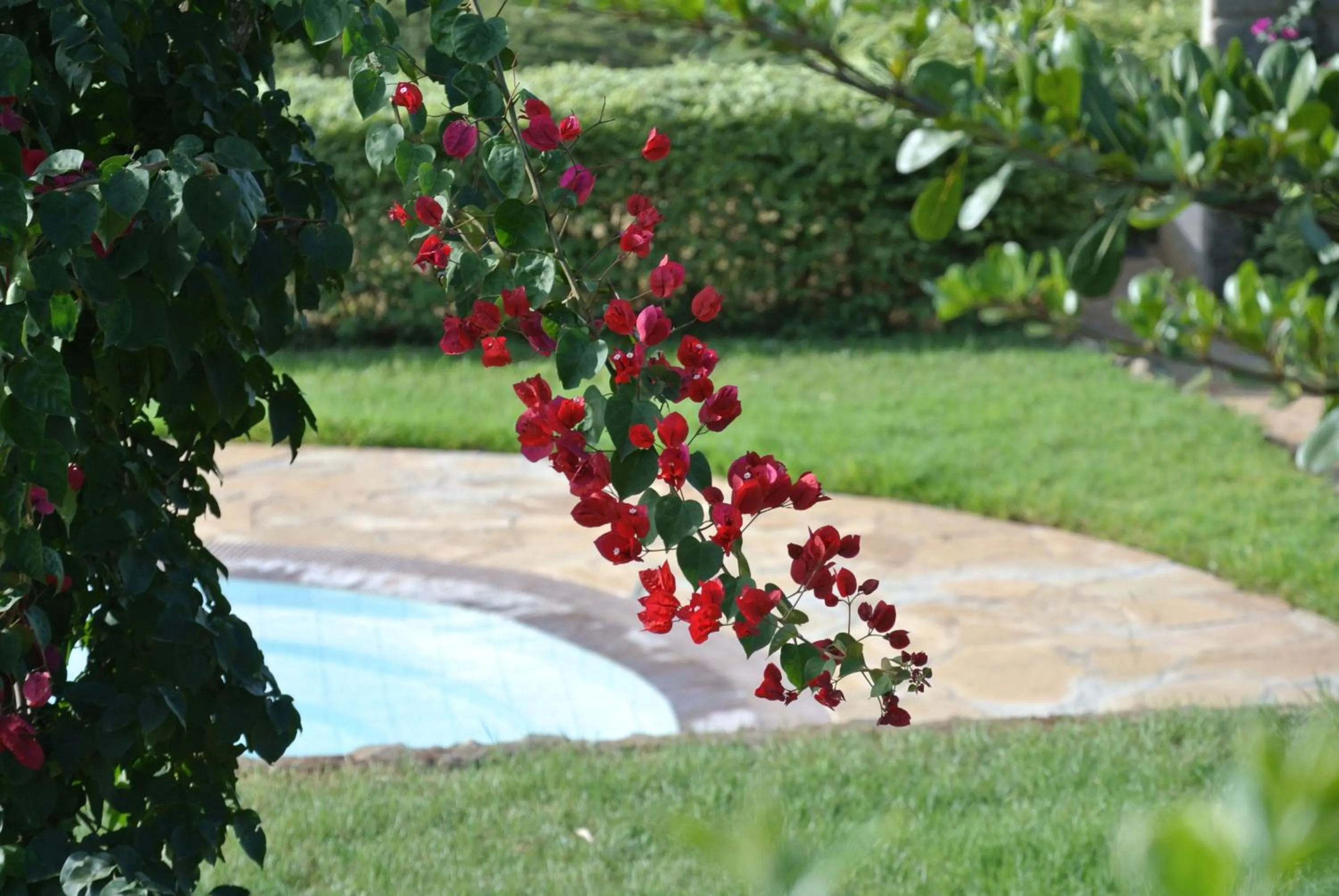 Day in Nyati Hill Cottages