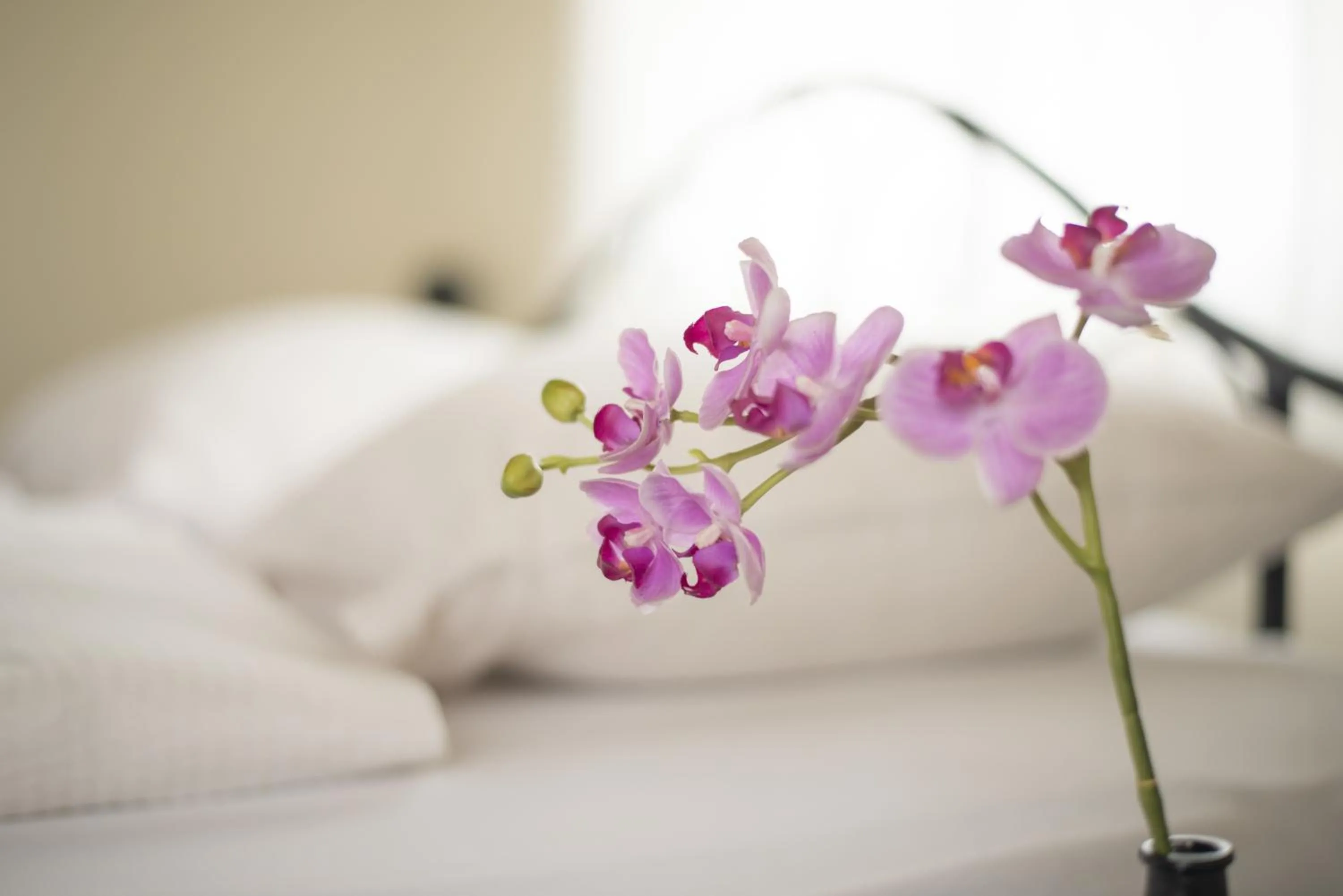 Decorative detail, Bed in Nyati Hill Cottages