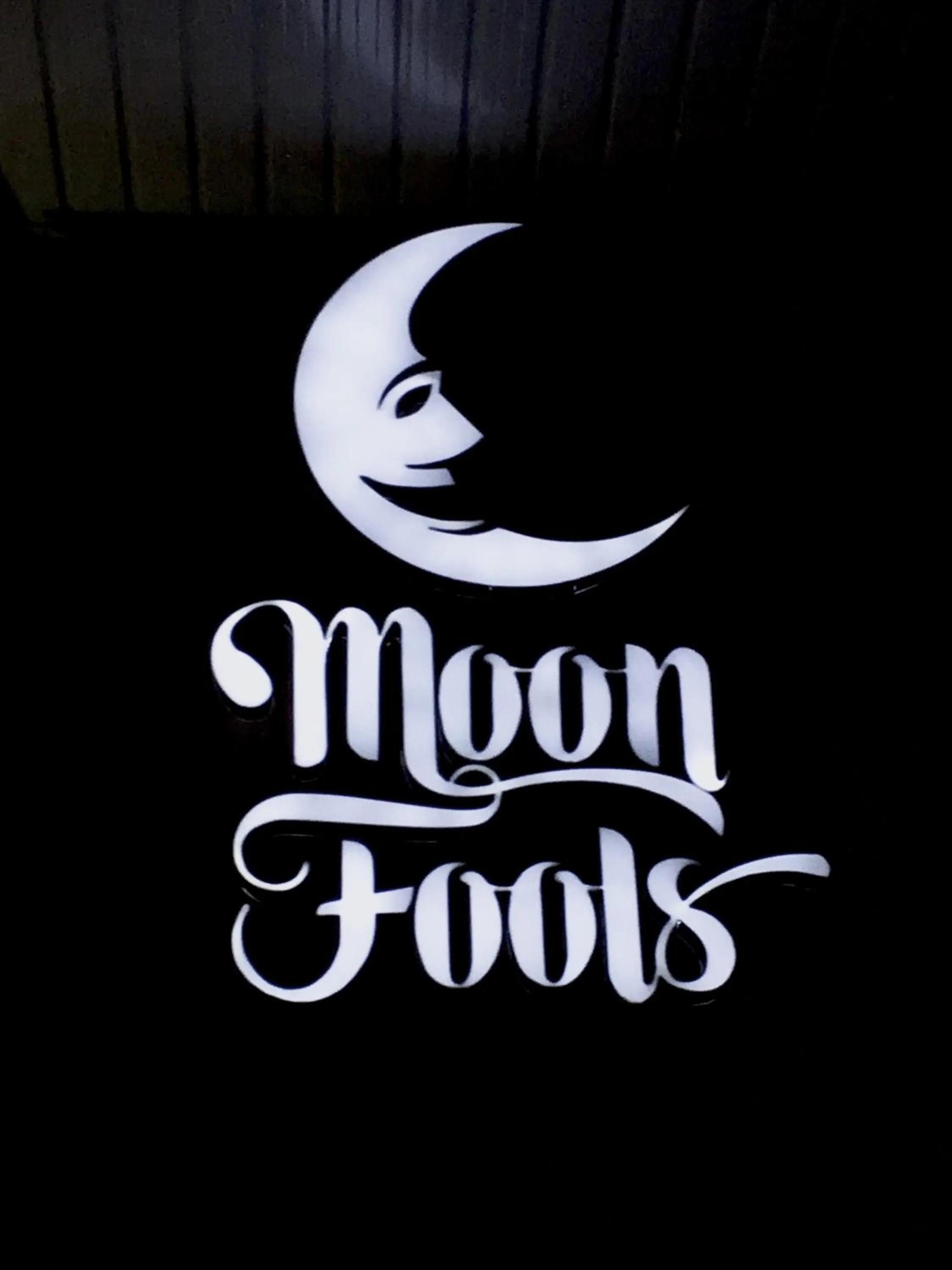 Property logo or sign in Moon Fools Hostel